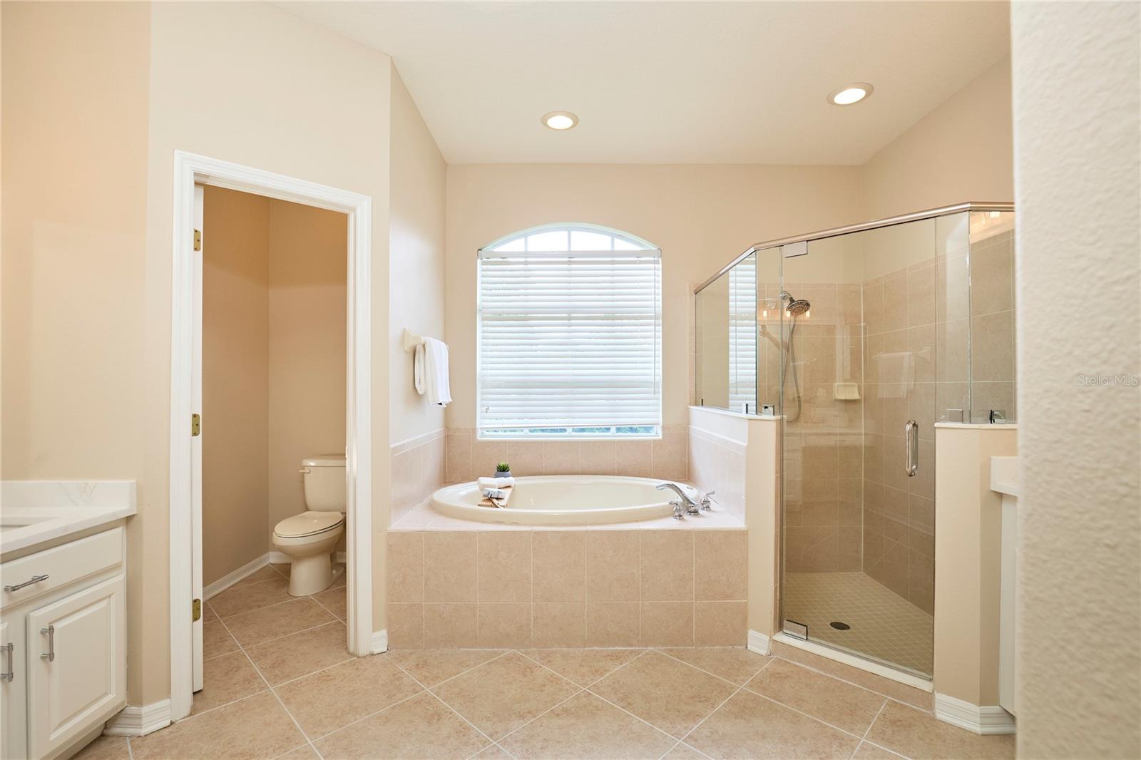 Image 19 of 62 For 15412 Carrillon Estates Boulevard