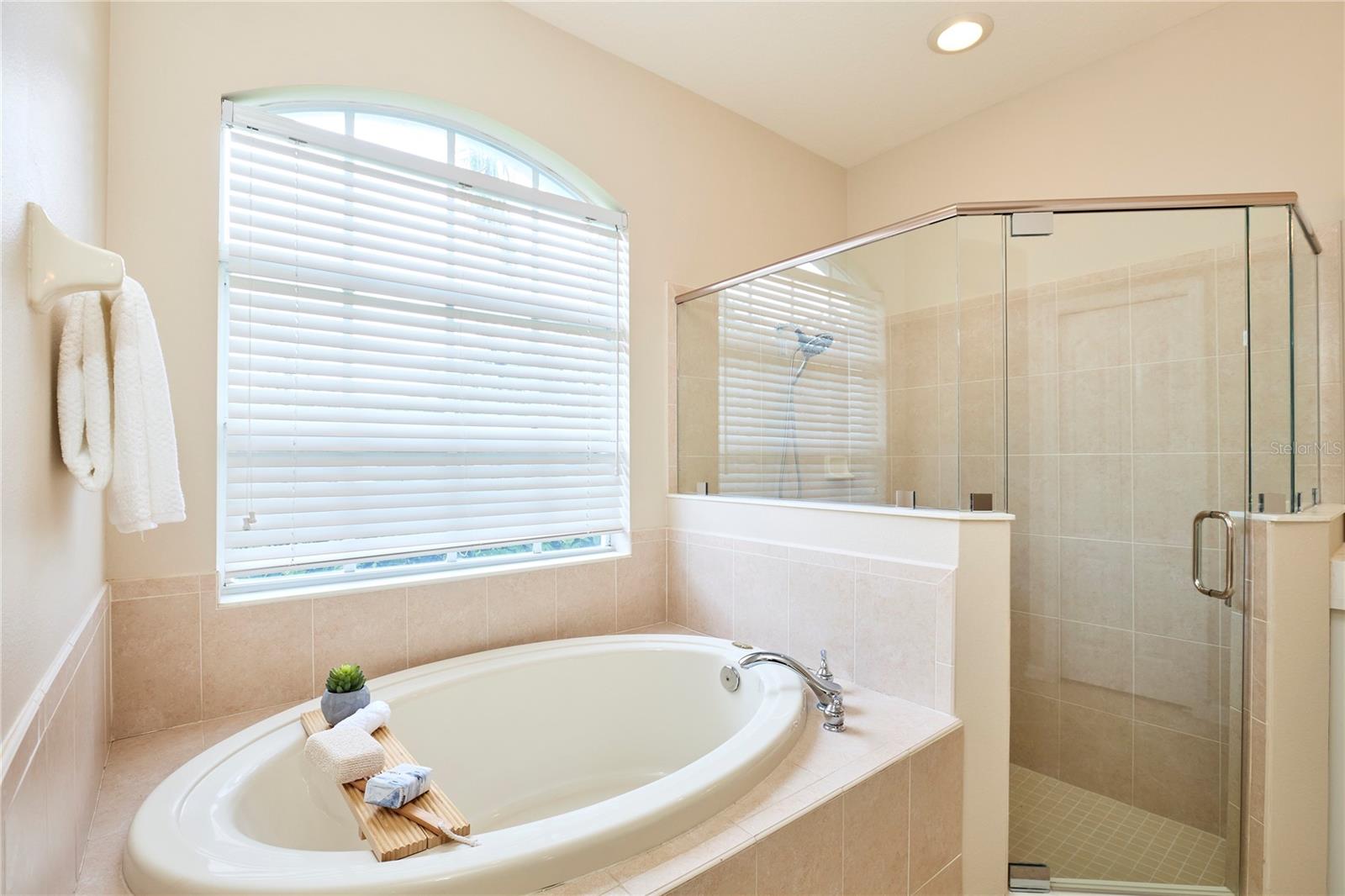 Image 21 of 62 For 15412 Carrillon Estates Boulevard
