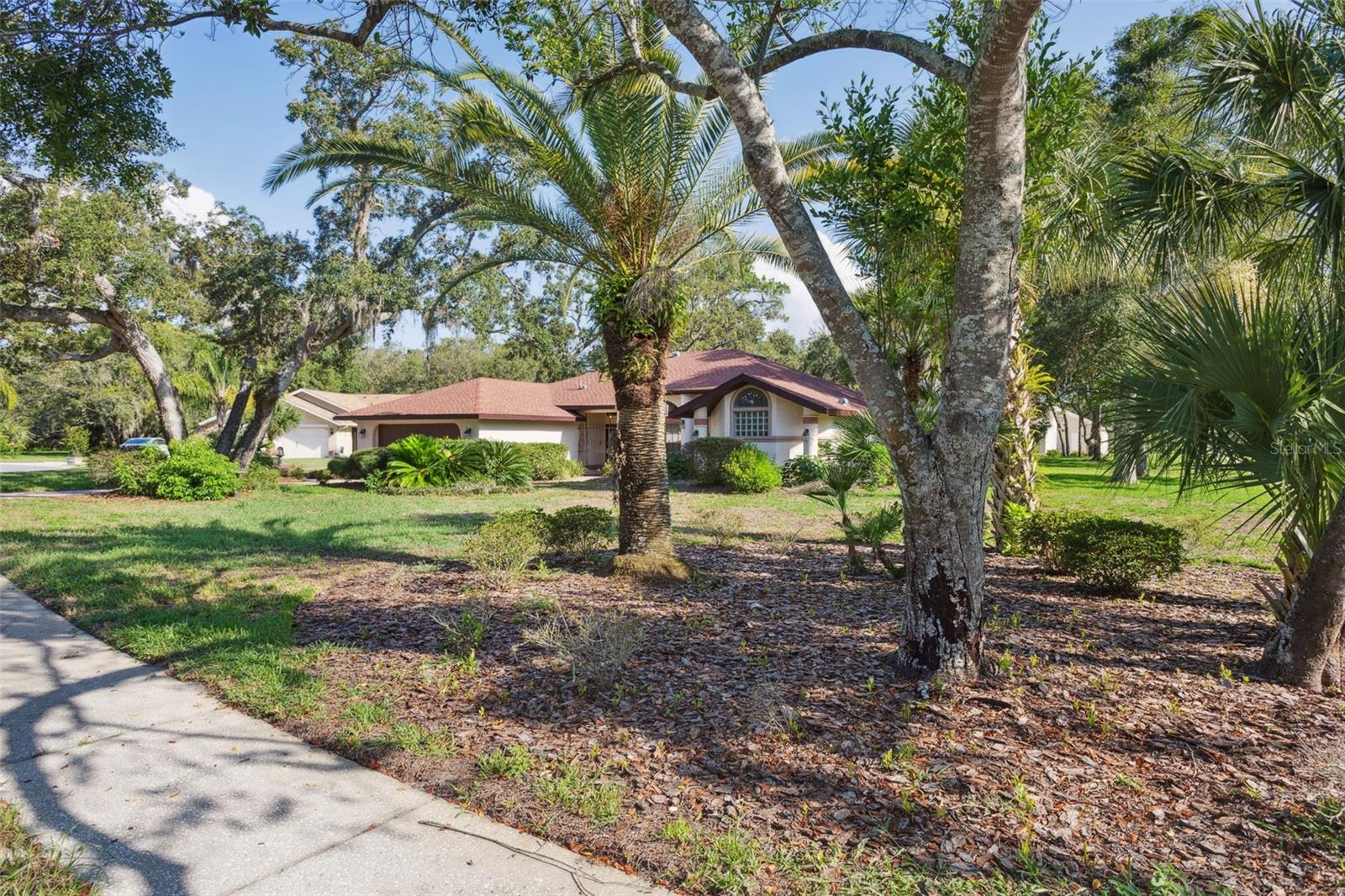 Image 3 of 56 For 13747 Forest Ridge Court