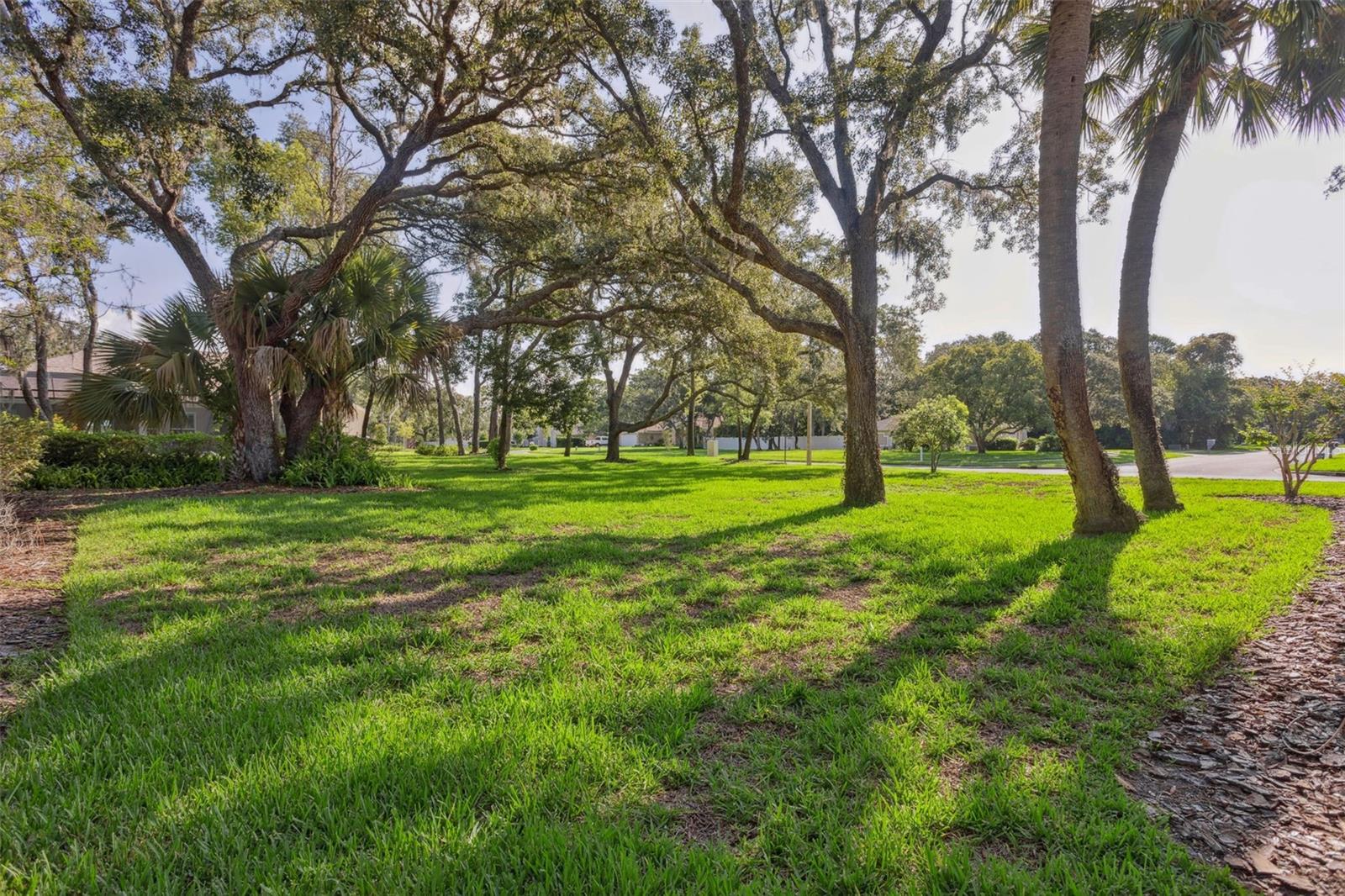 Image 40 of 56 For 13747 Forest Ridge Court