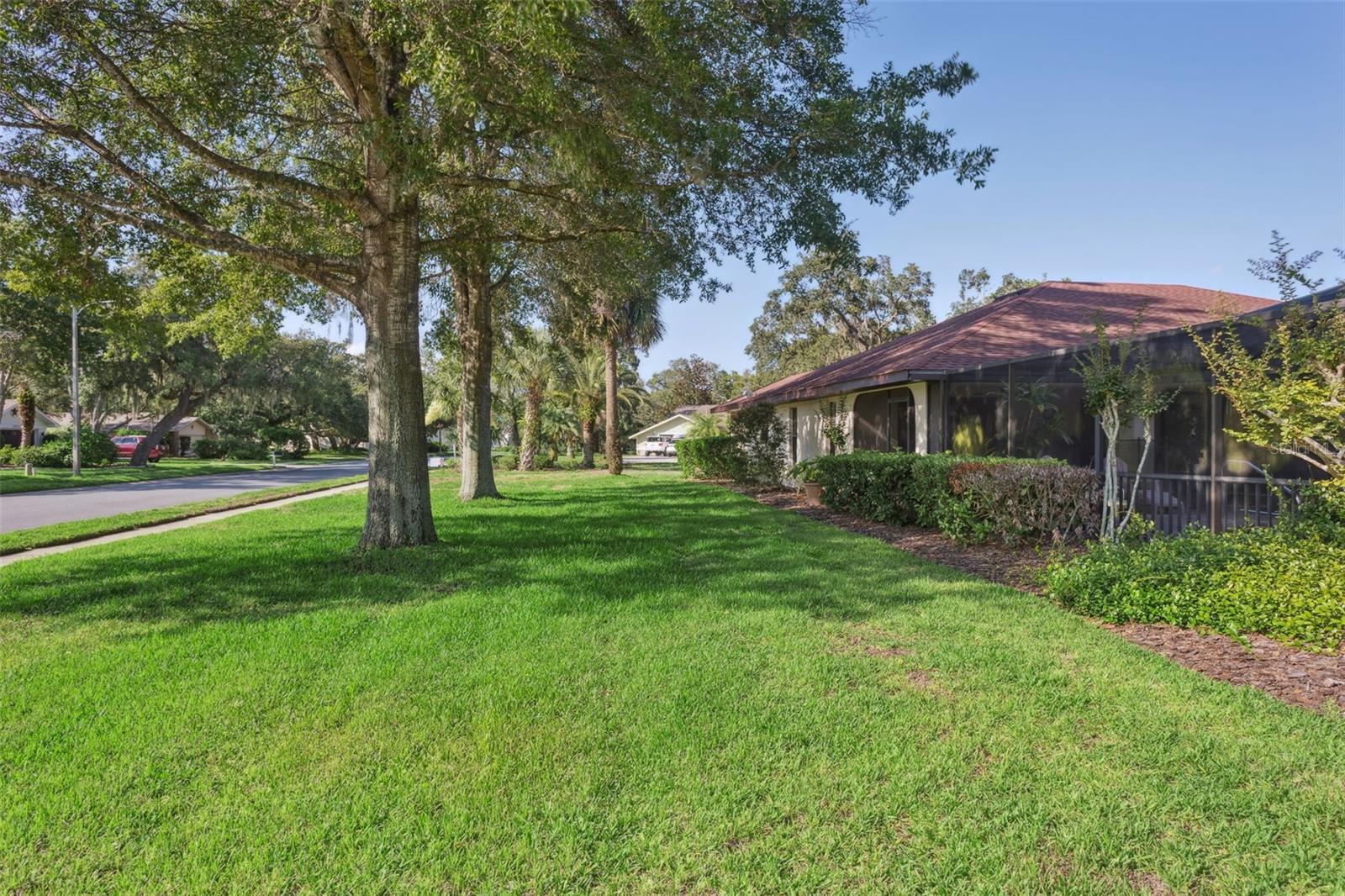 Image 42 of 56 For 13747 Forest Ridge Court