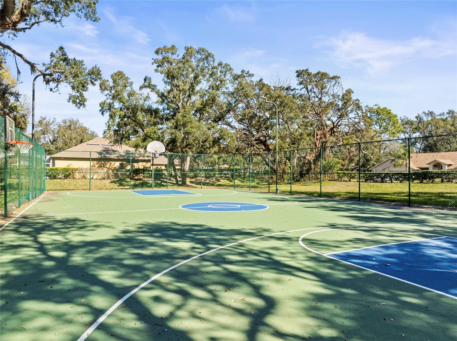 Image 49 of 56 For 13747 Forest Ridge Court