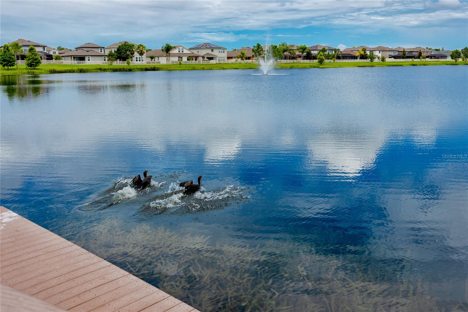 Listing photo id 62 for 1601 Fox Grape Loop
