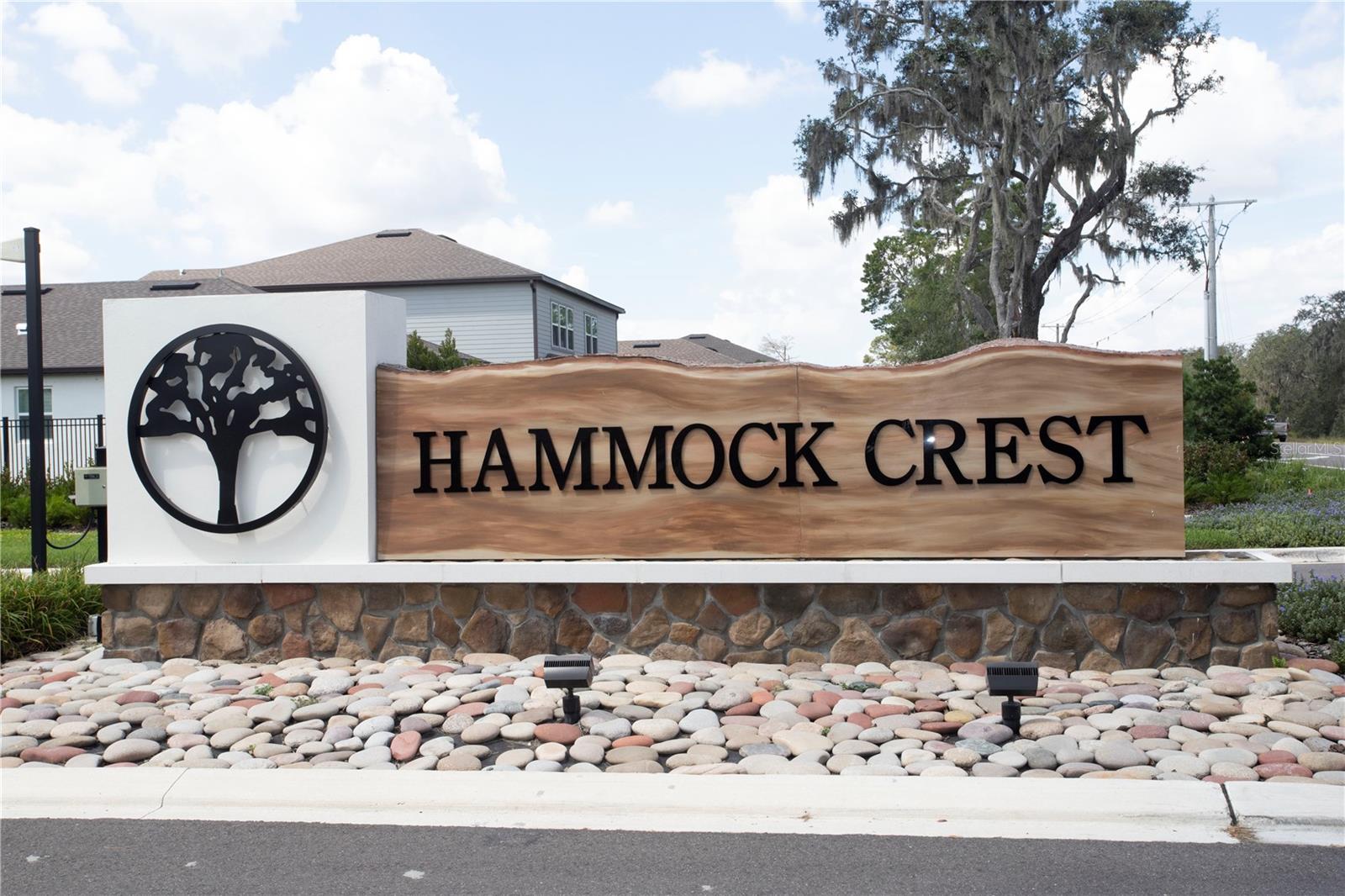 Image 59 of 59 For 14184 Hammock Crest Way