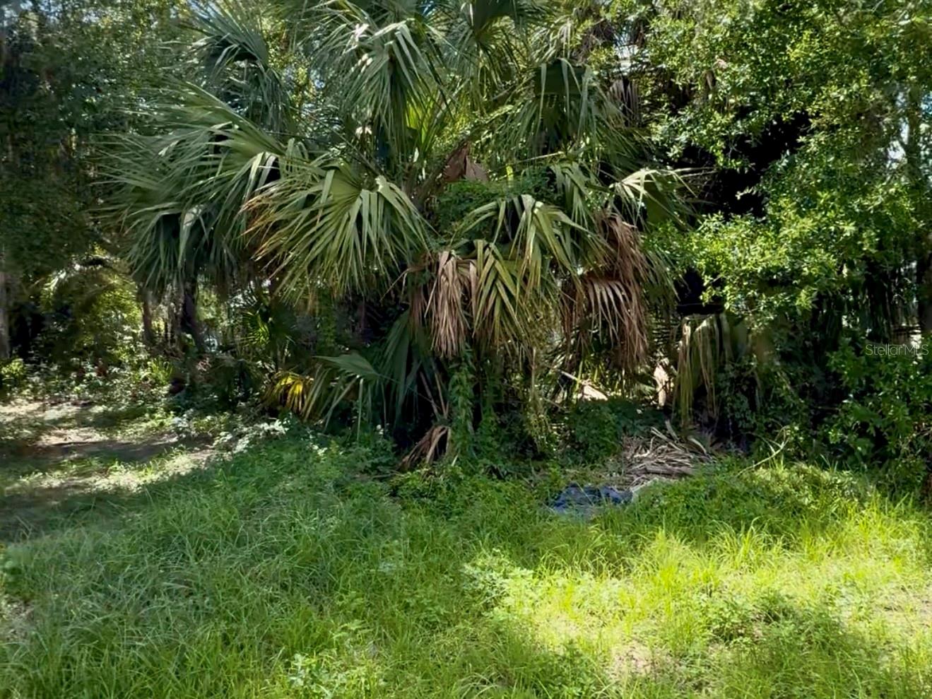 Details for 208 Franklin Street, PLANT CITY, FL 33563