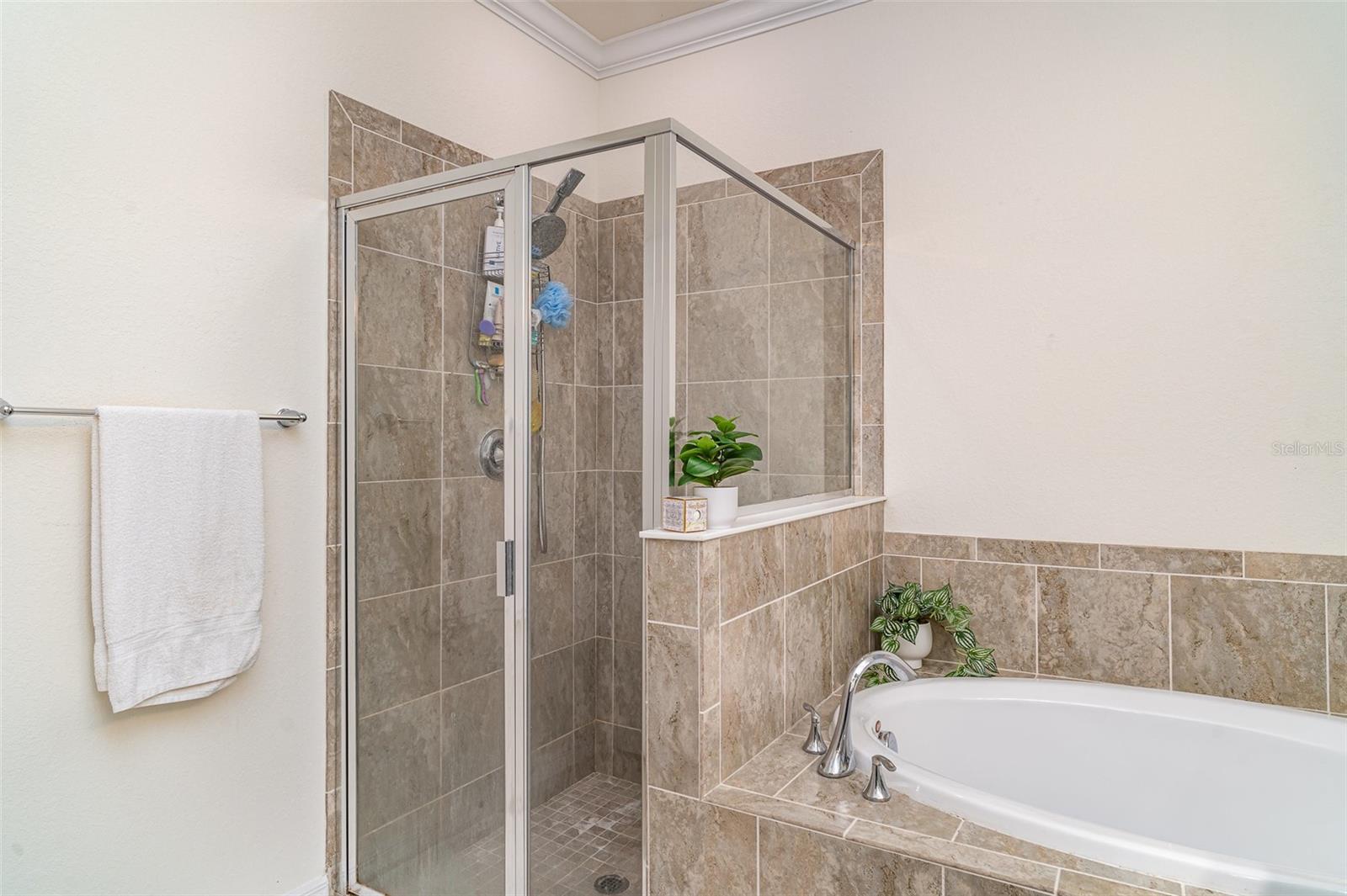 Image 17 of 32 For 20828 Cattail Boulevard