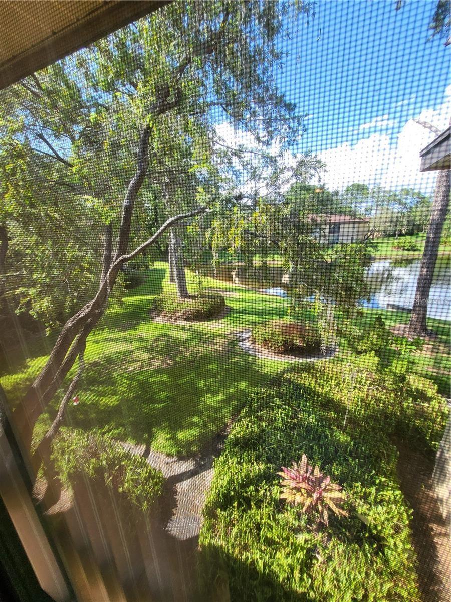 Image 10 of 11 For 2685 Sabal Springs Circle 202