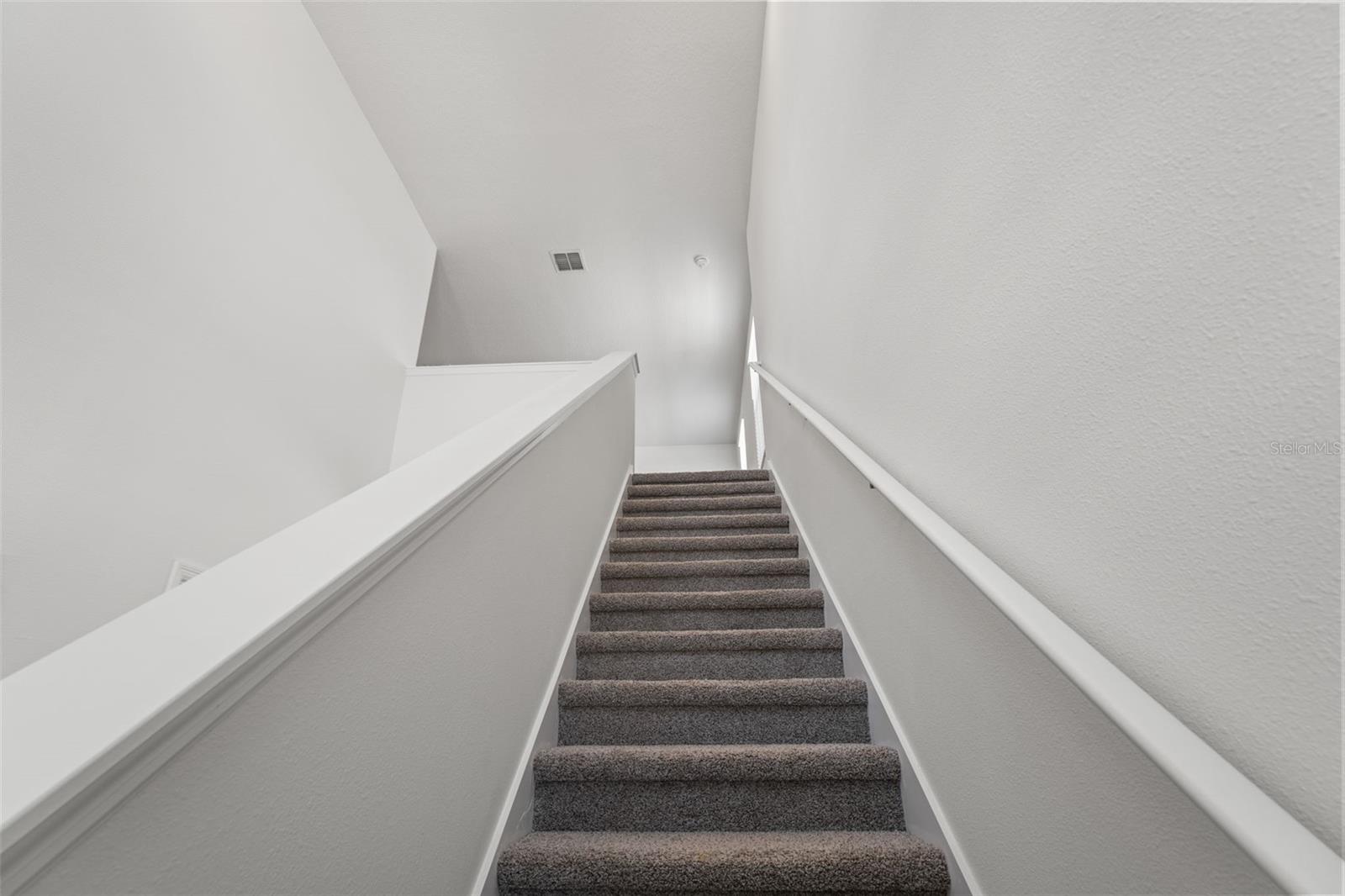 Listing photo id 38 for 3655 Moscato Drive