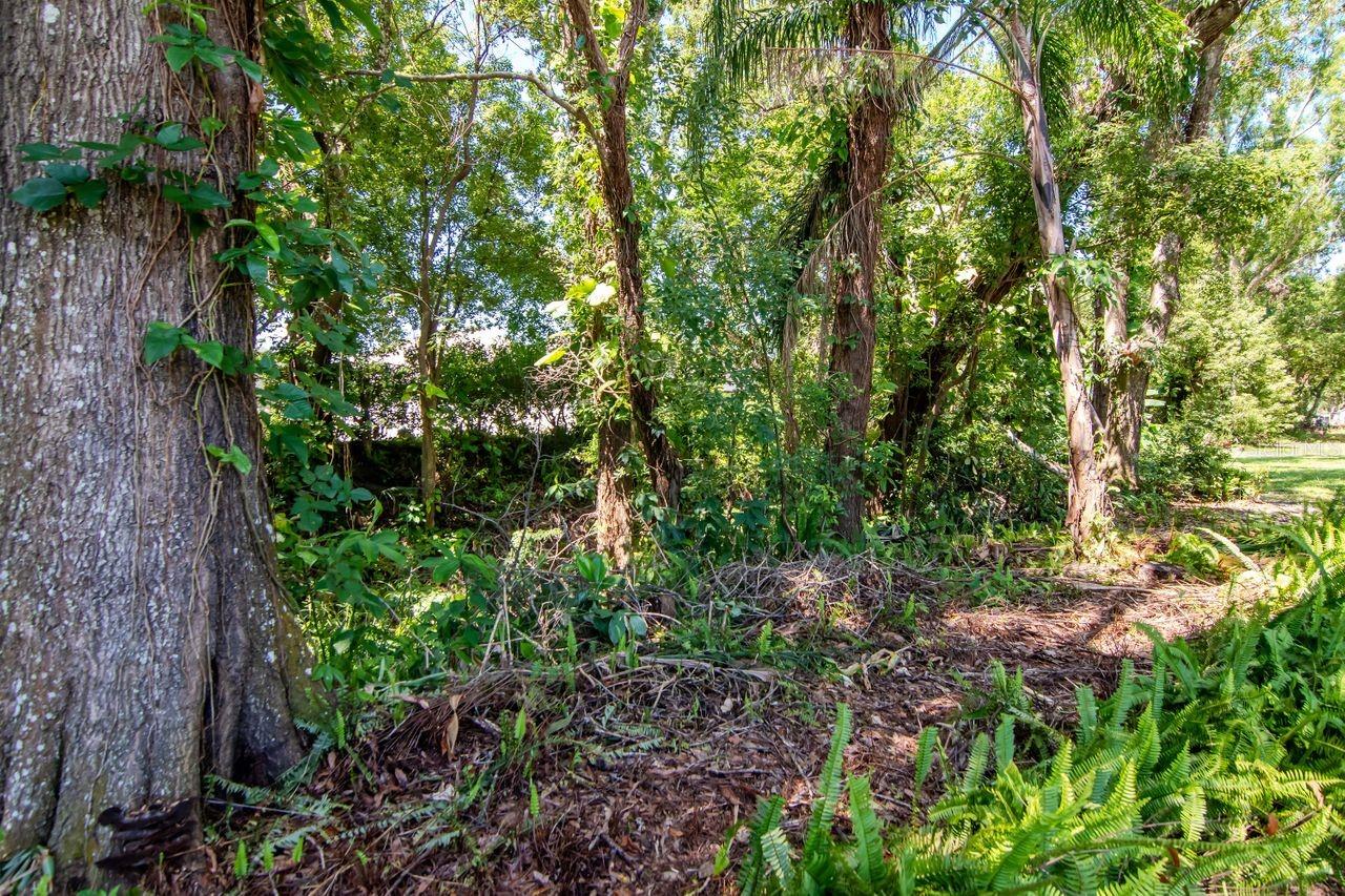 Image 46 of 46 For 23924 Forest Place