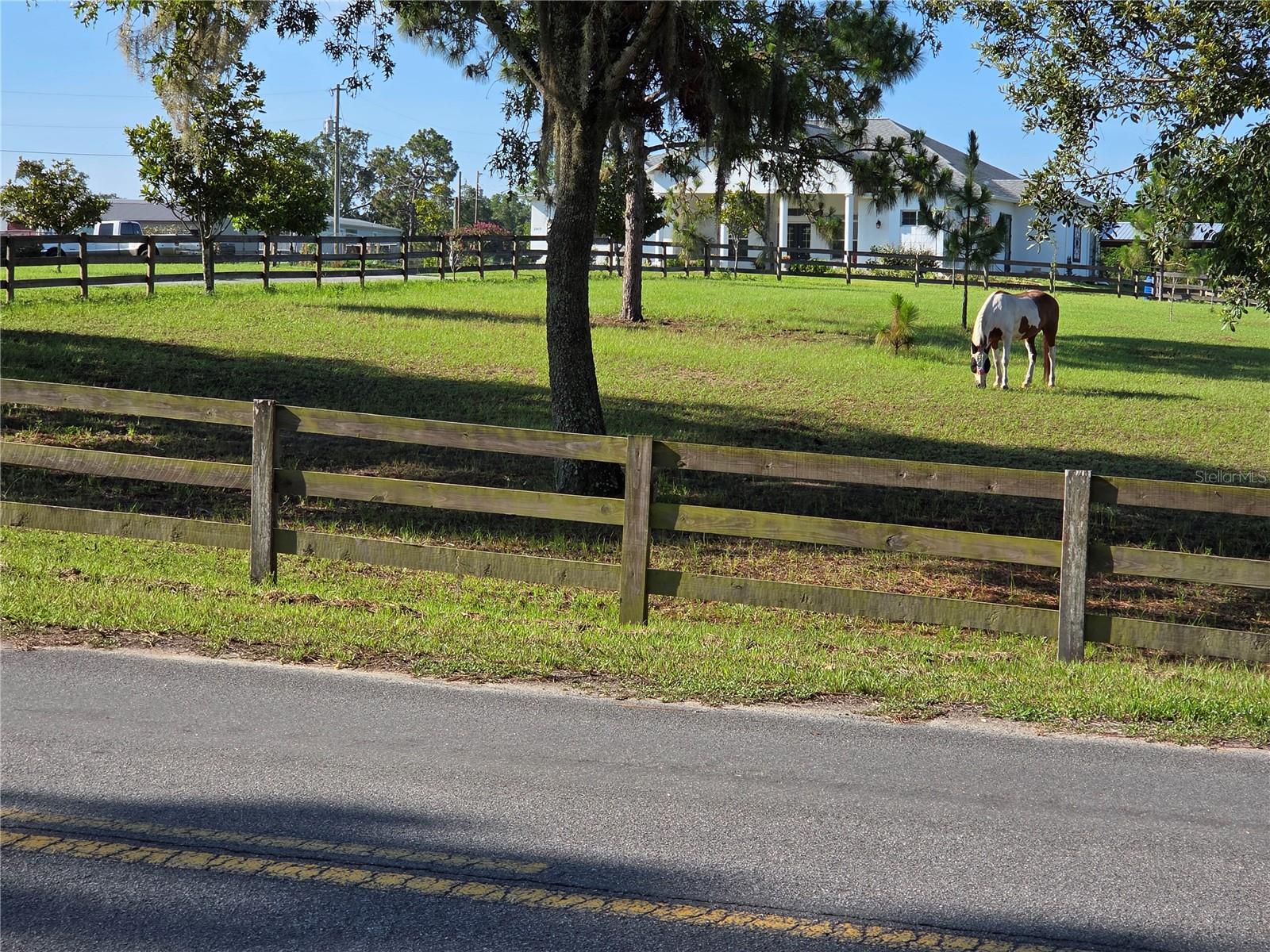 Image 61 of 61 For 28410 Wildlife Lane