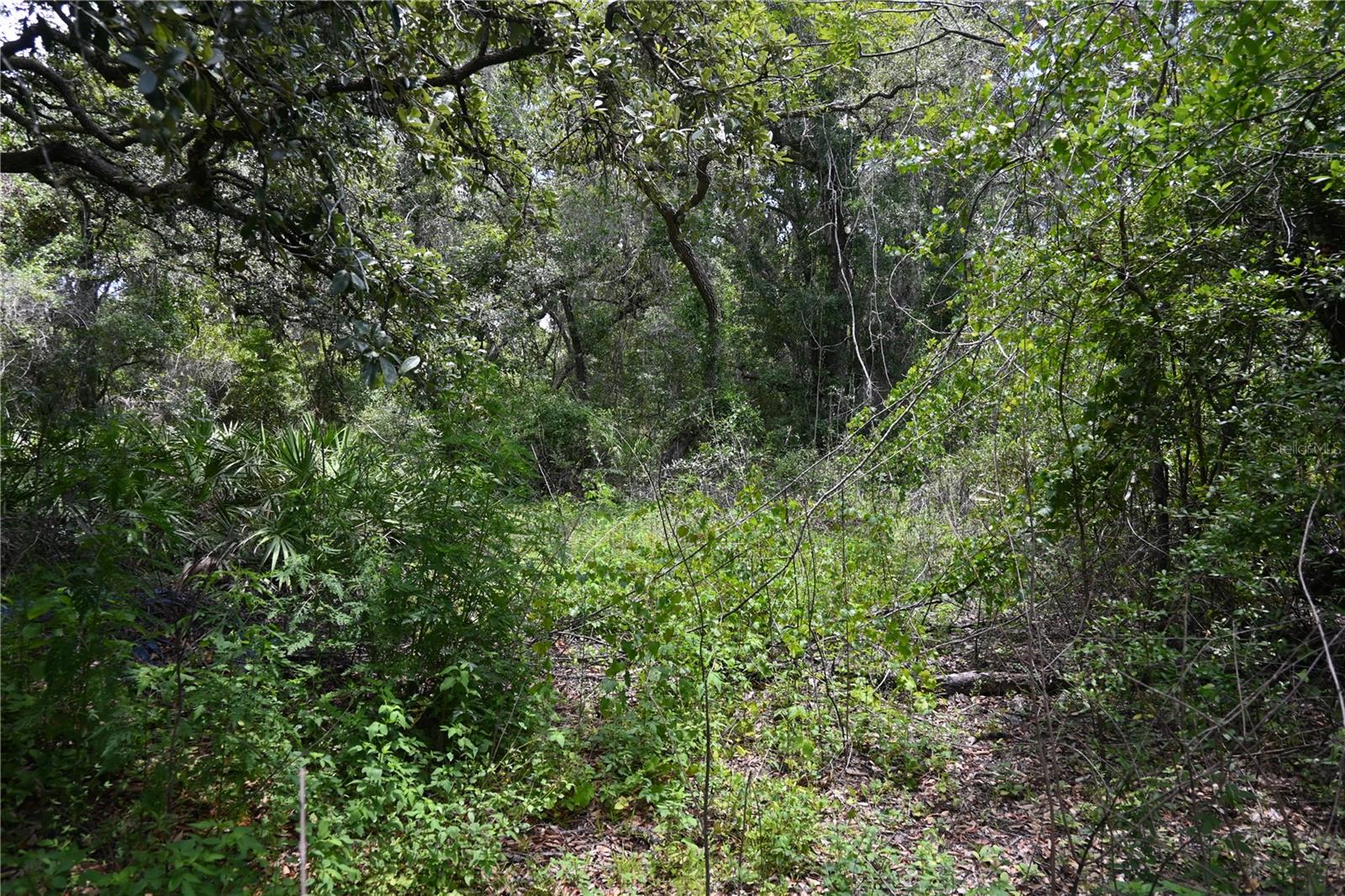 Image 6 of 8 For 0 Cyril Drive