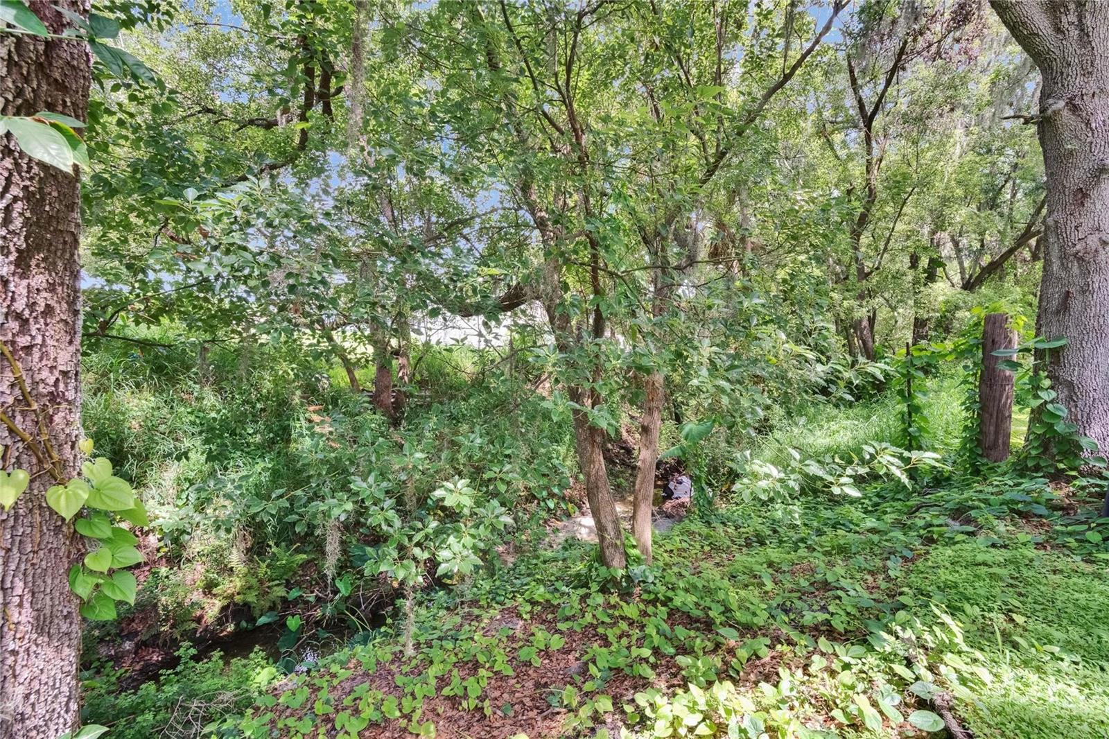Image 72 of 95 For 1110 Mercer Loop