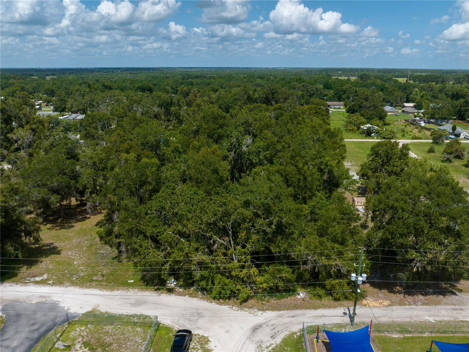 Image 5 of 5 For Tangerine Street