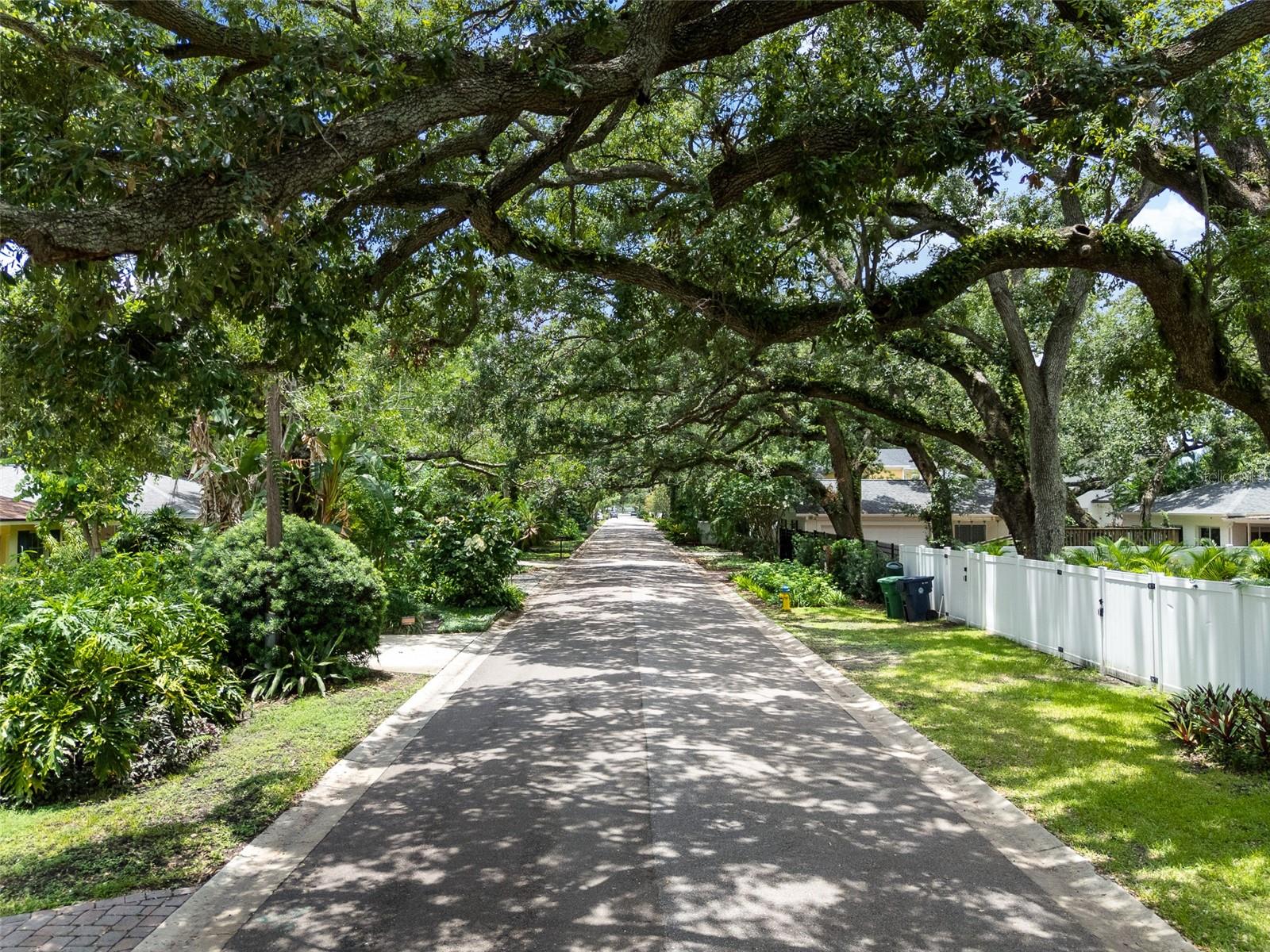 Listing photo id 32 for 3312 Carrington Street