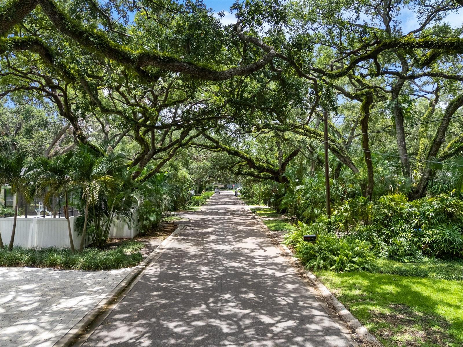 Listing photo id 33 for 3312 Carrington Street