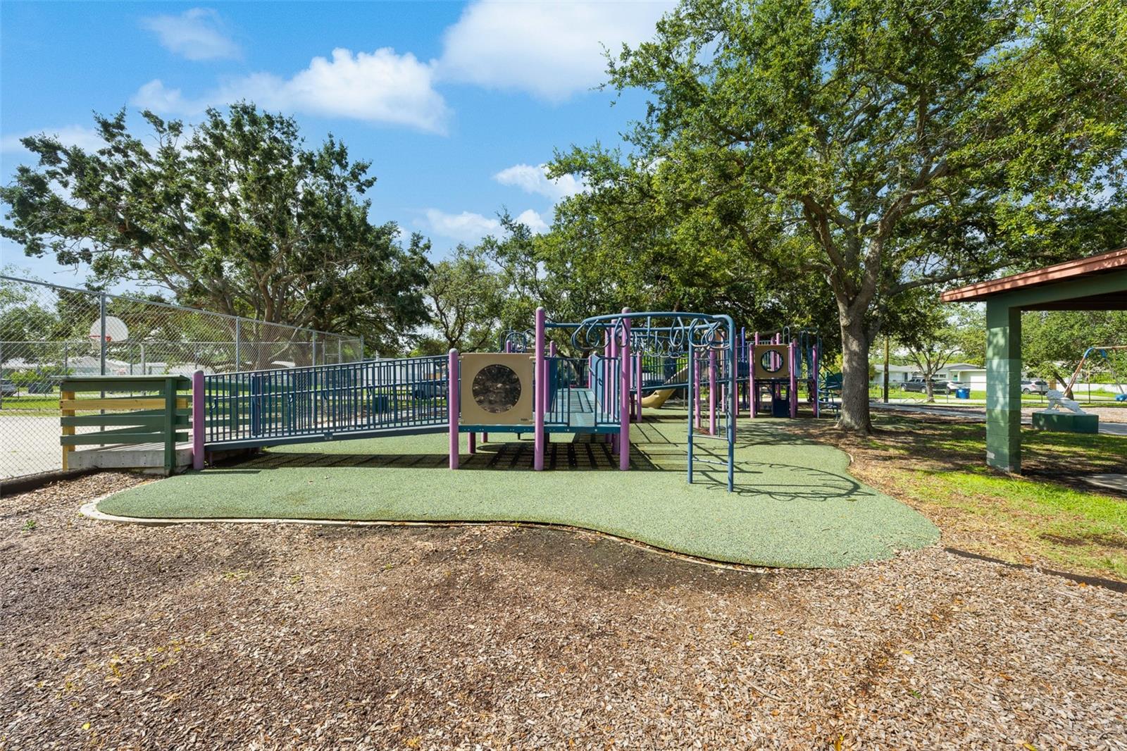 Listing photo id 45 for 3312 Carrington Street