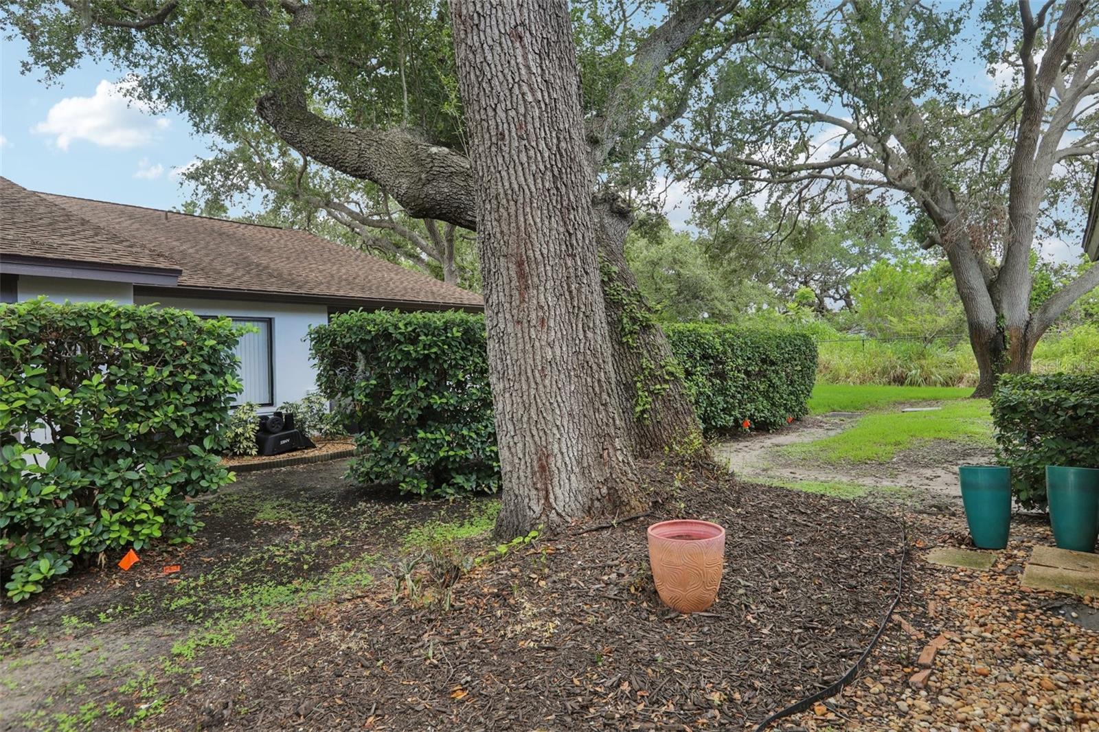 Listing photo id 29 for 1830 Cypress Trace Drive