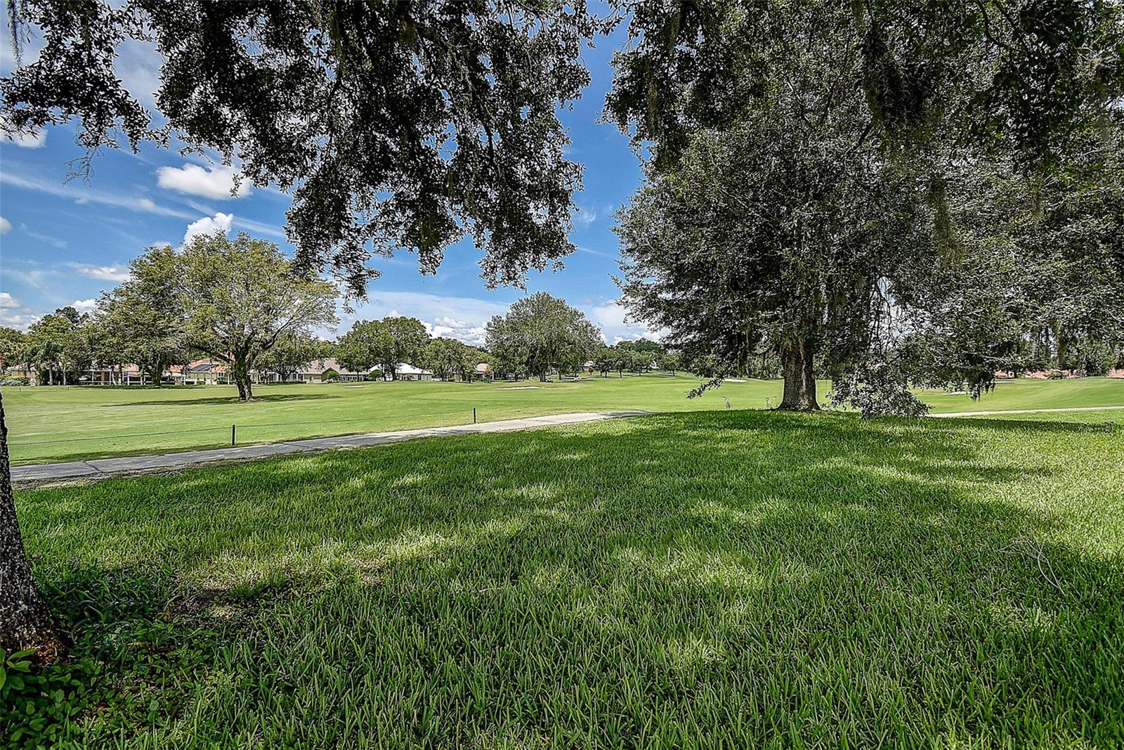 Listing photo id 46 for 12713 Grand Traverse Drive