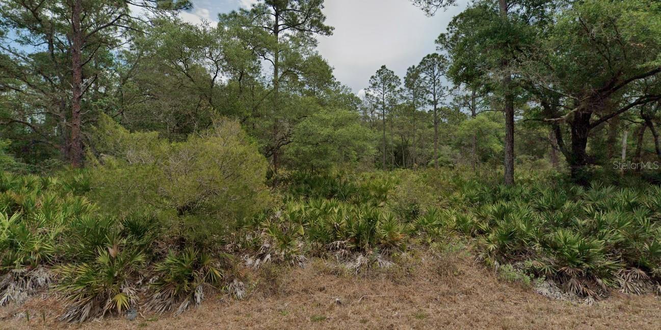 Image 9 of 13 For 9379 Bromeliad Terrace