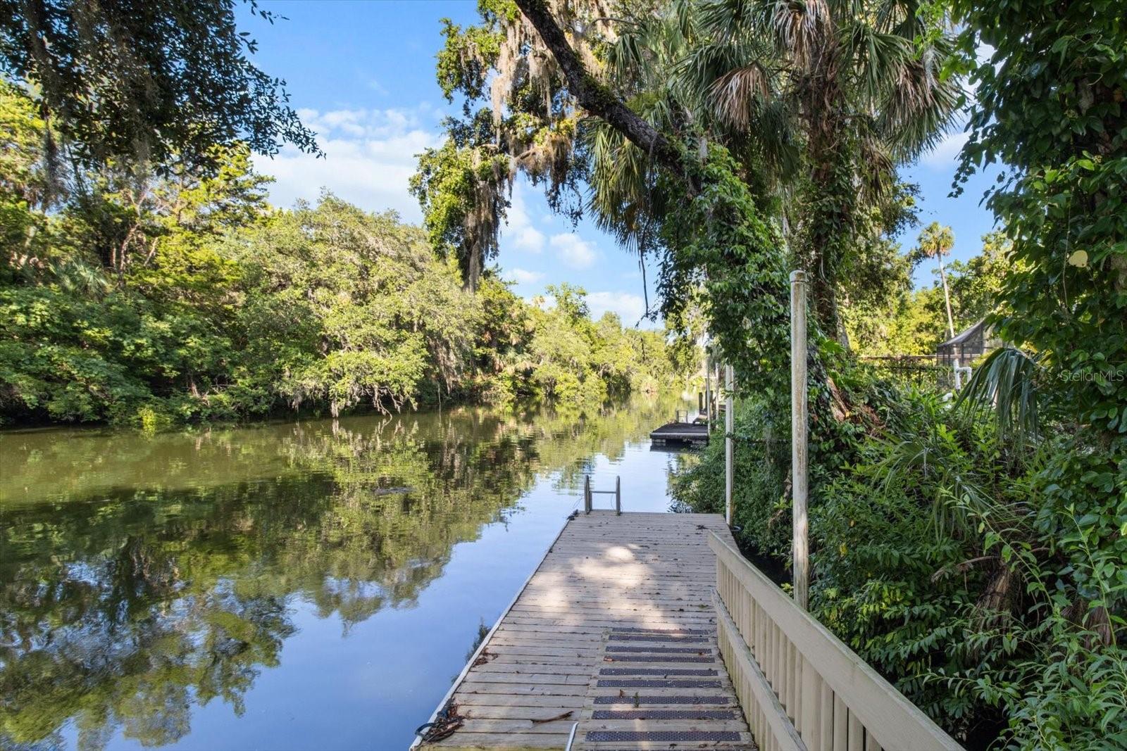 Image 41 of 47 For 18 Palm Circle Drive