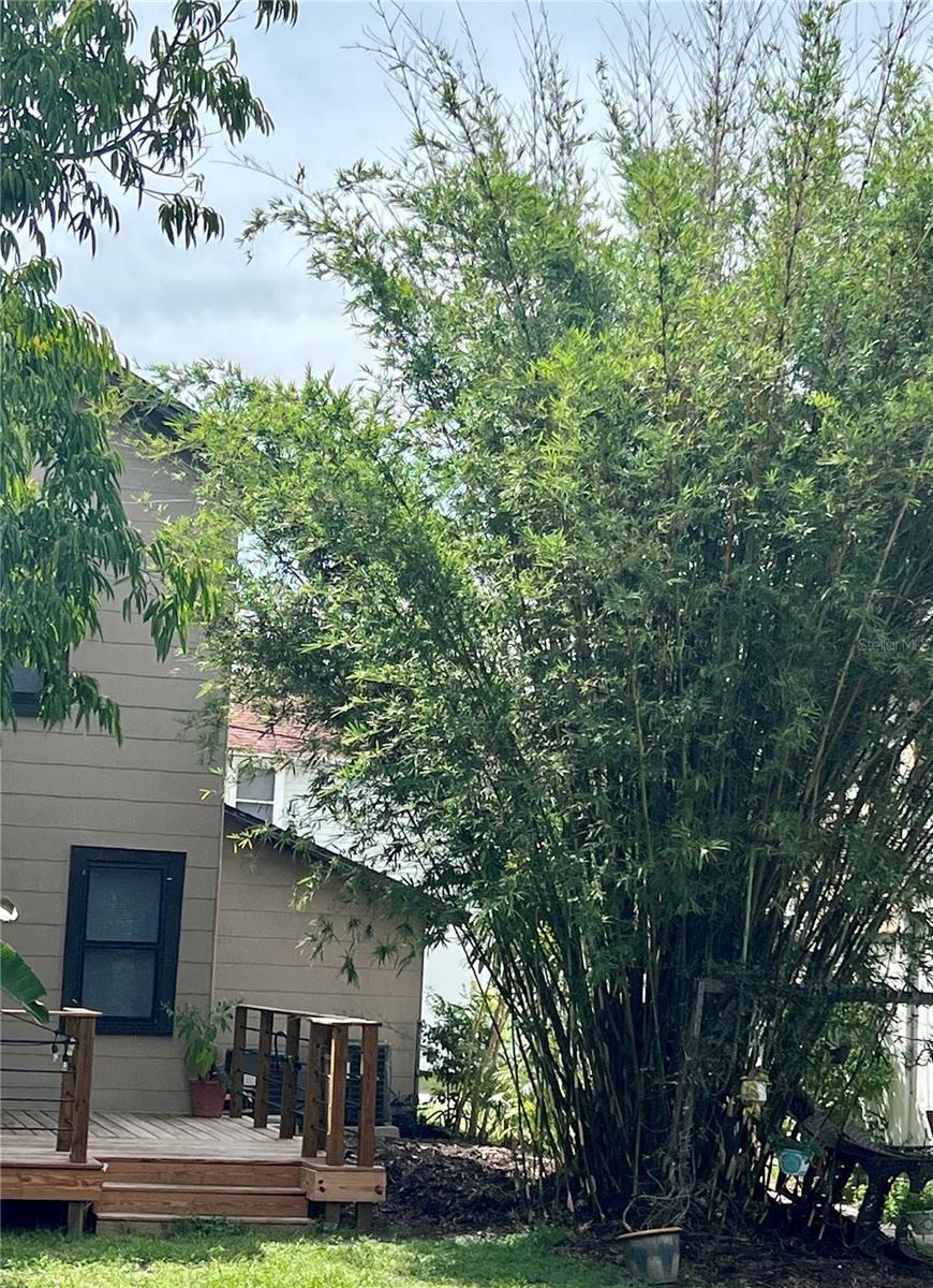 Image 43 of 46 For 2826 10th Street N Upper