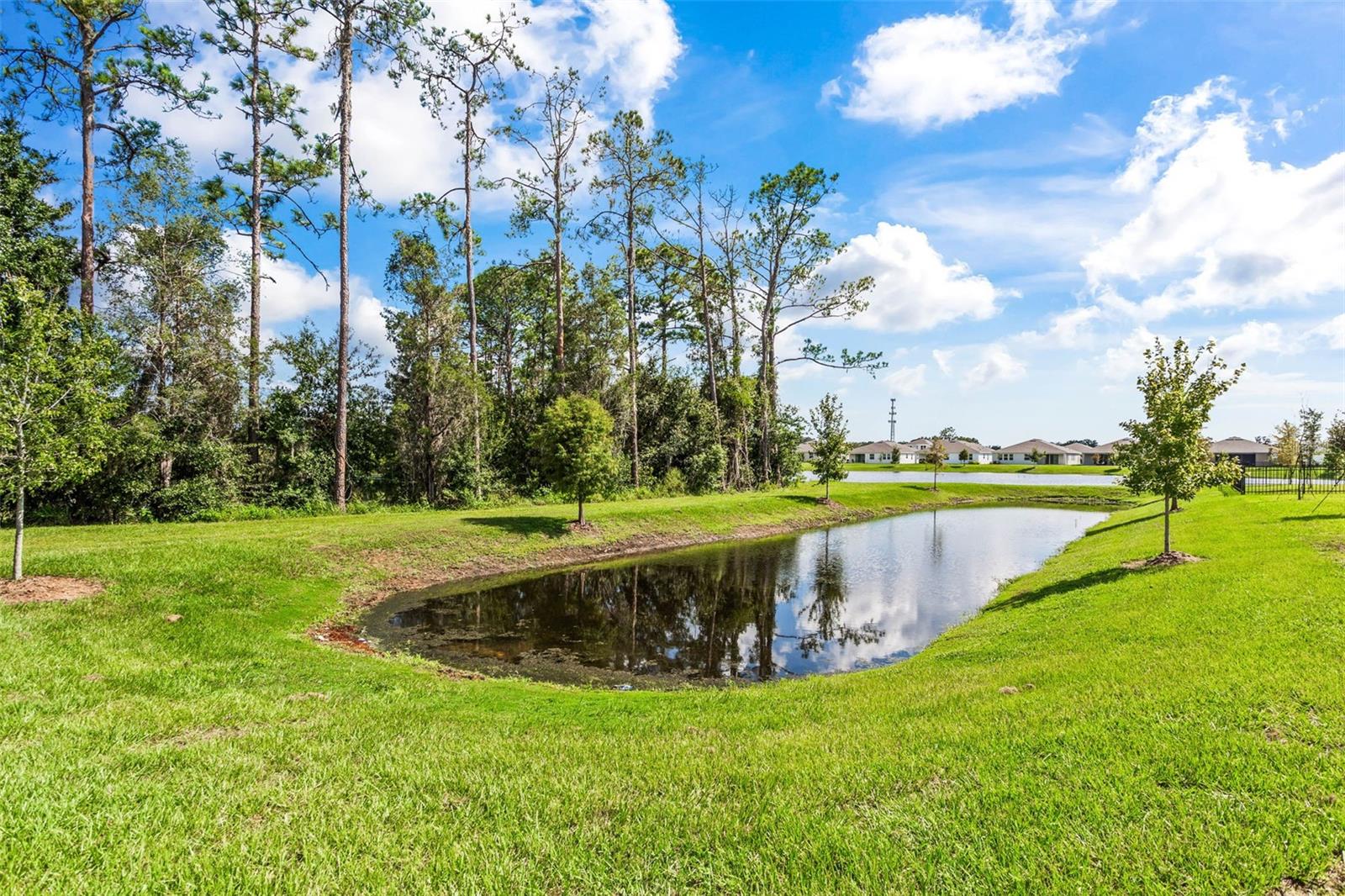 Image 29 of 29 For 23176 Pachino Way