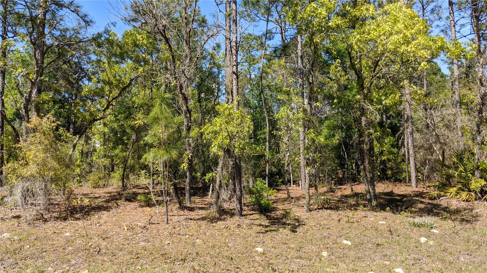Details for 0 97th Place, DUNNELLON, FL 34432