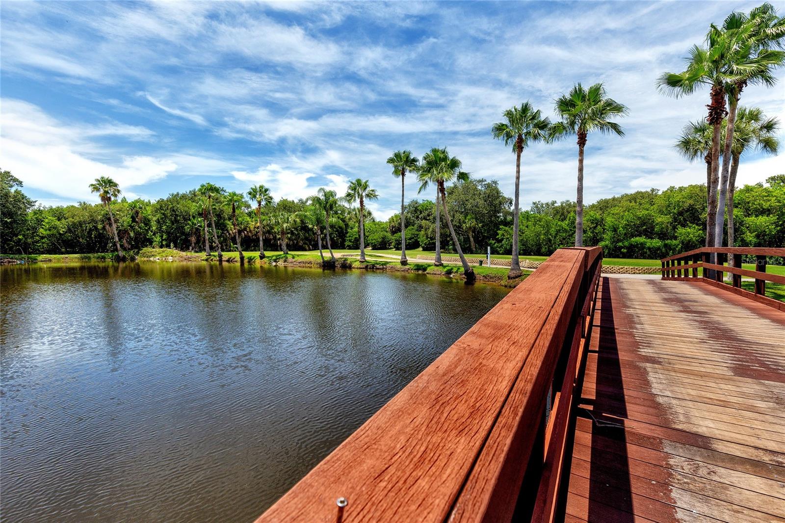 Image 42 of 51 For 2700 Cove Cay Drive 1-4a