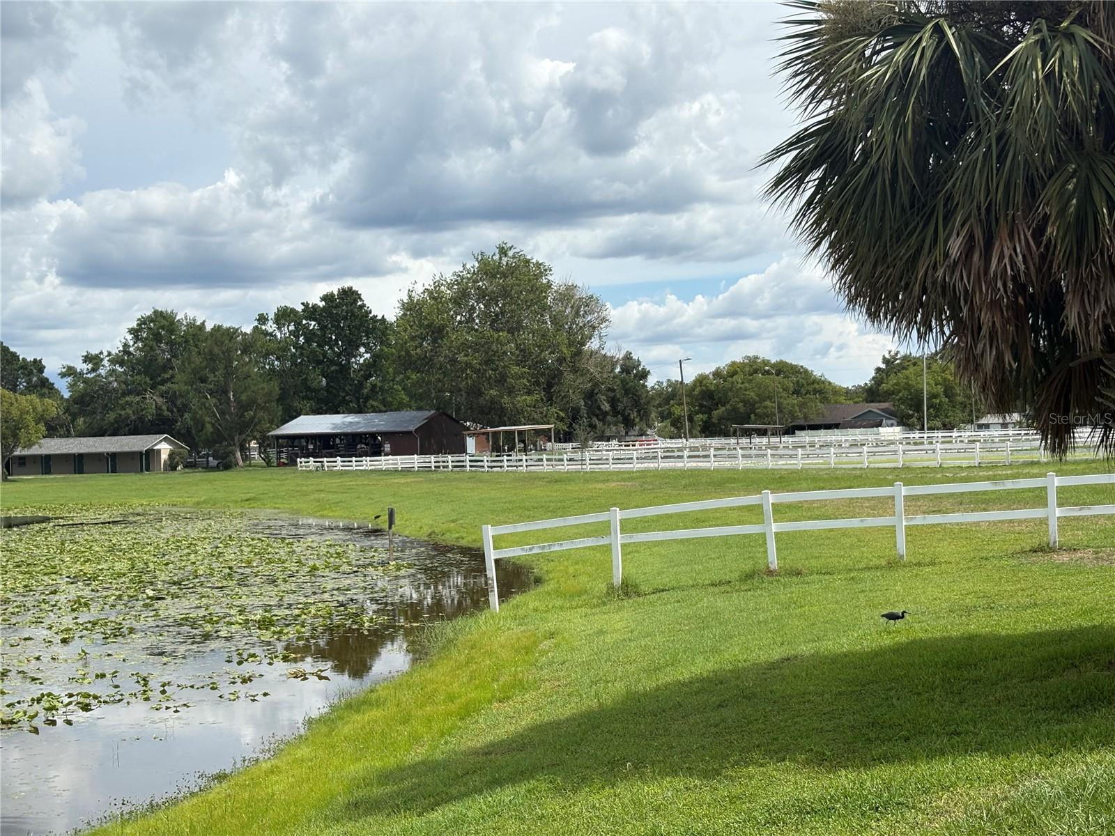 Listing photo id 41 for 22422 Stillwood Drive