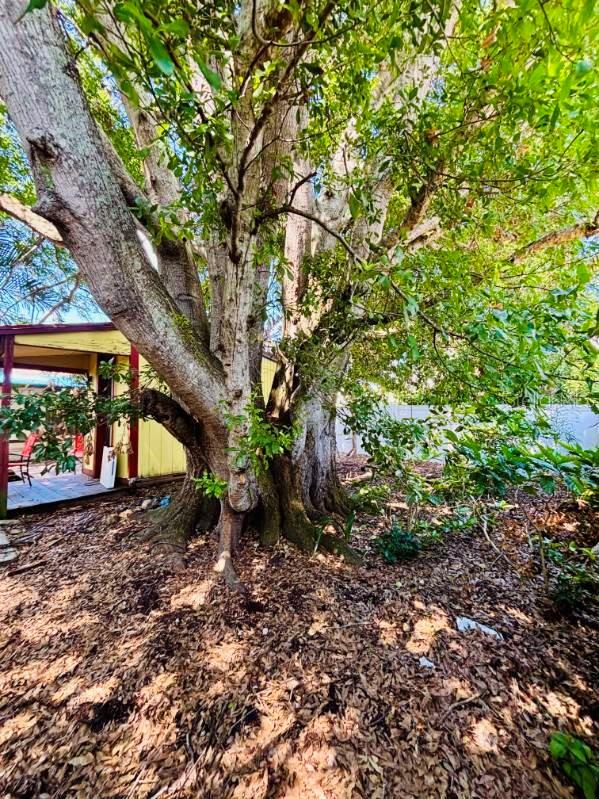 Image 31 of 31 For 3135 33rd Avenue N