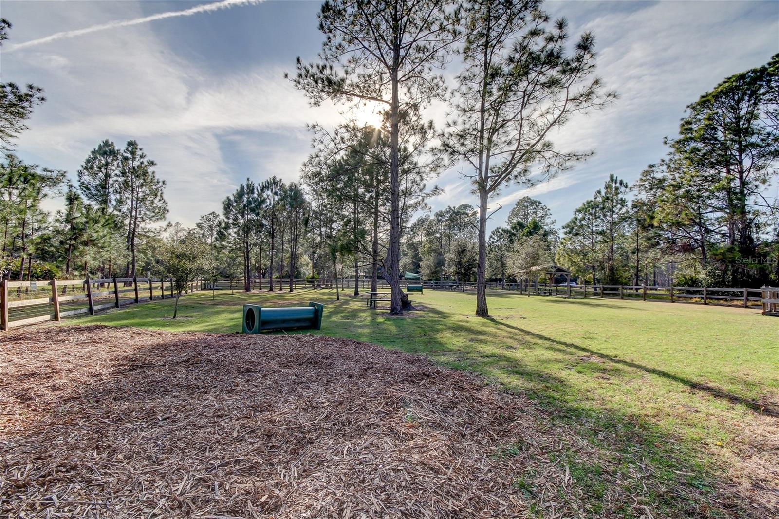 Image 42 of 55 For 9481 Highland Oak Drive 1308