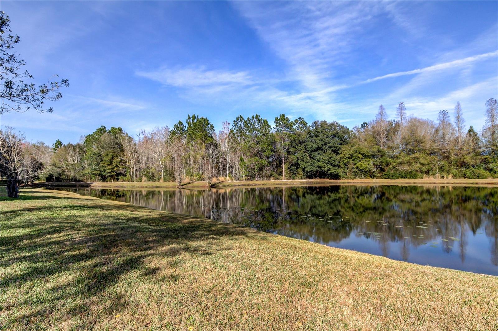 Image 43 of 55 For 9481 Highland Oak Drive 1308