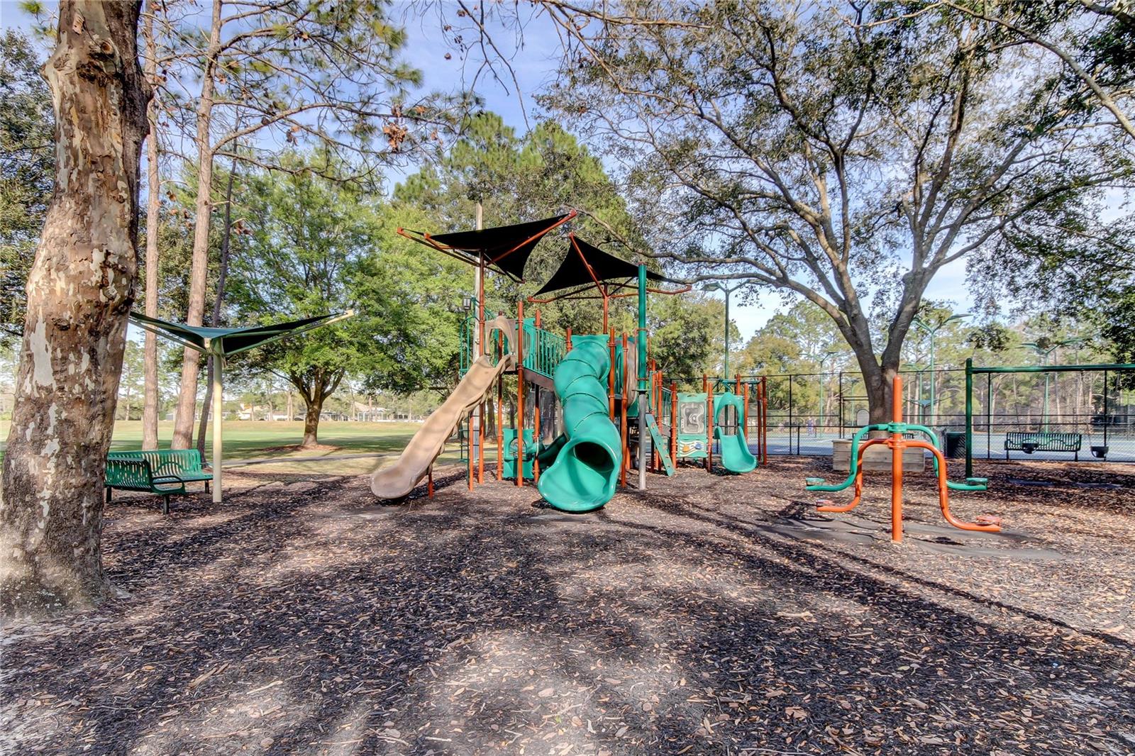 Image 44 of 55 For 9481 Highland Oak Drive 1308