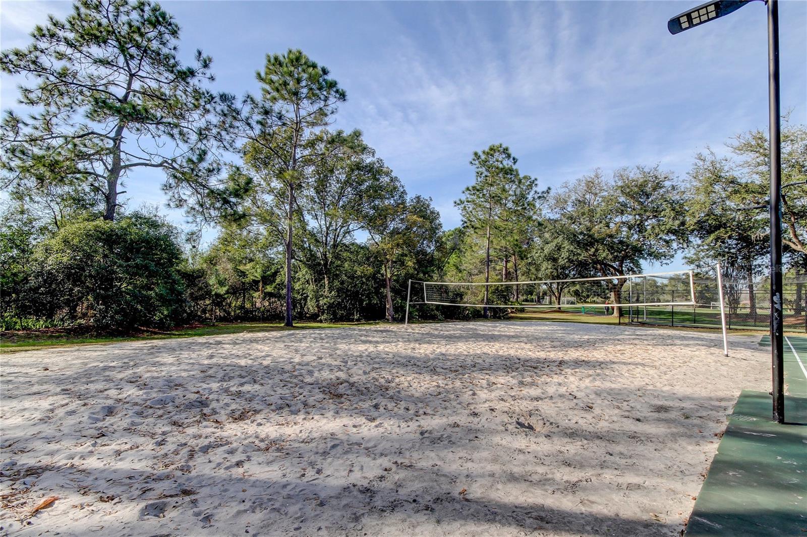 Image 48 of 55 For 9481 Highland Oak Drive 1308