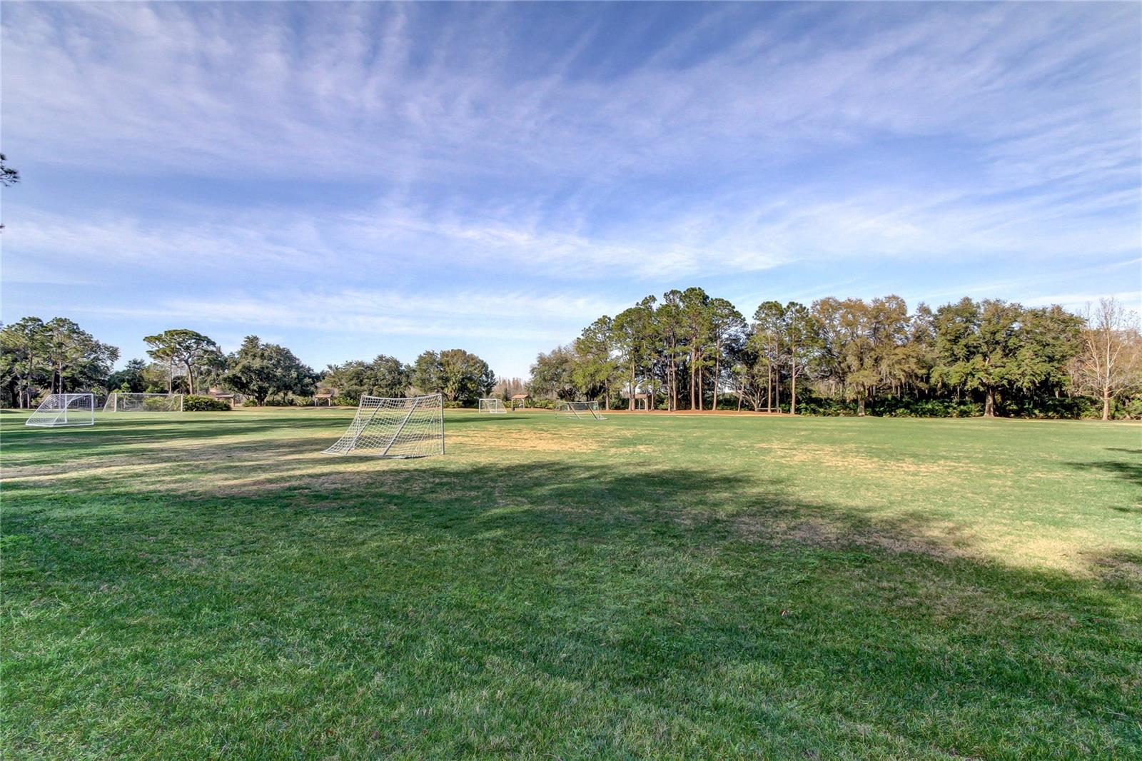 Image 49 of 55 For 9481 Highland Oak Drive 1308