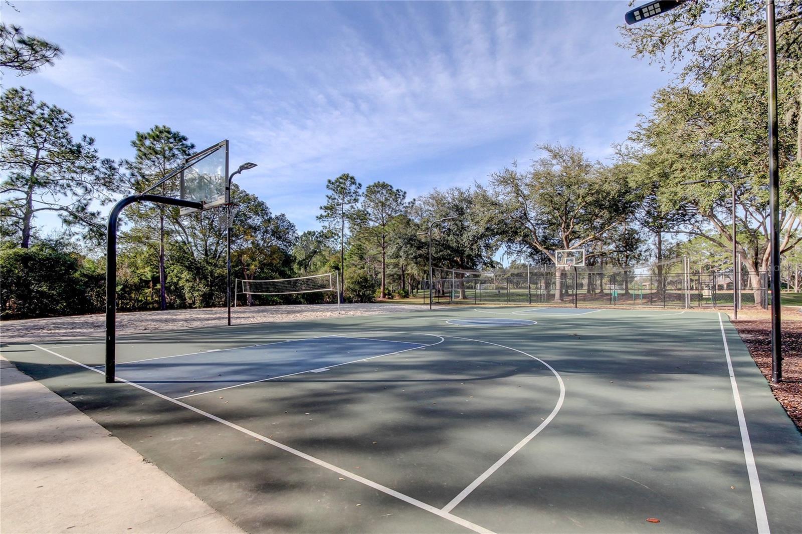 Image 54 of 55 For 9481 Highland Oak Drive 1308