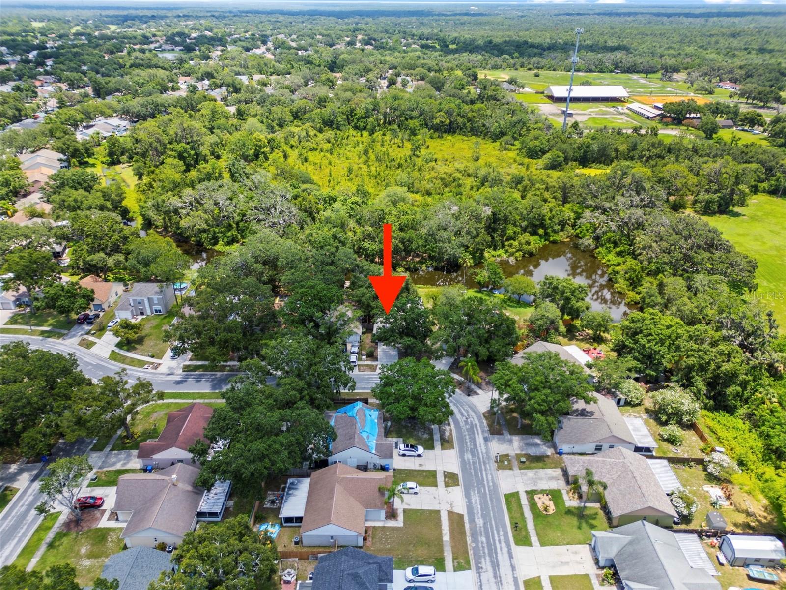 Image 36 of 38 For 4639 Cabbage Palm Drive