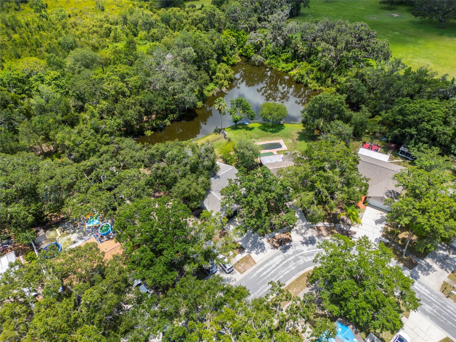 Image 37 of 38 For 4639 Cabbage Palm Drive