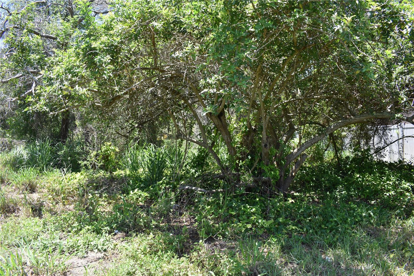 Image 17 of 30 For Gulfwinds Drive