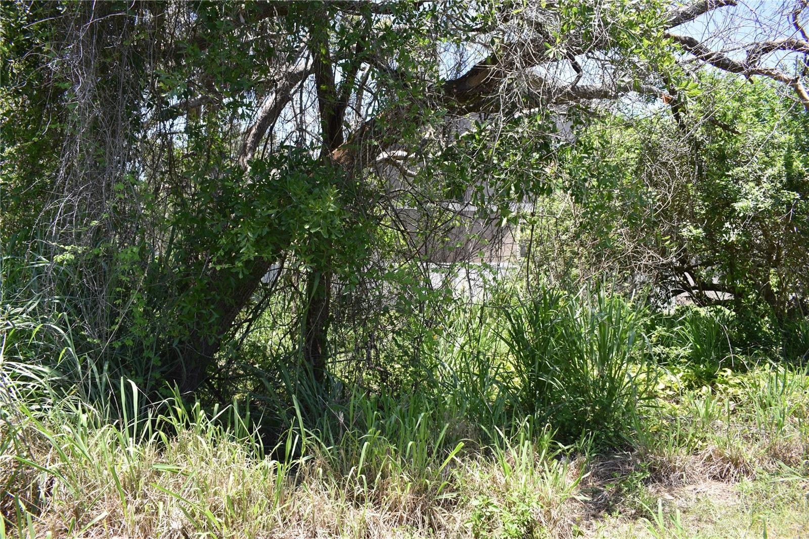 Image 19 of 30 For Gulfwinds Drive