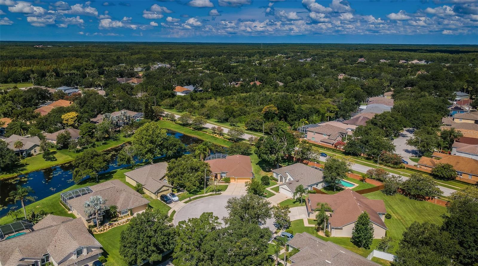 Listing photo id 47 for 8604 Herons Cove Place