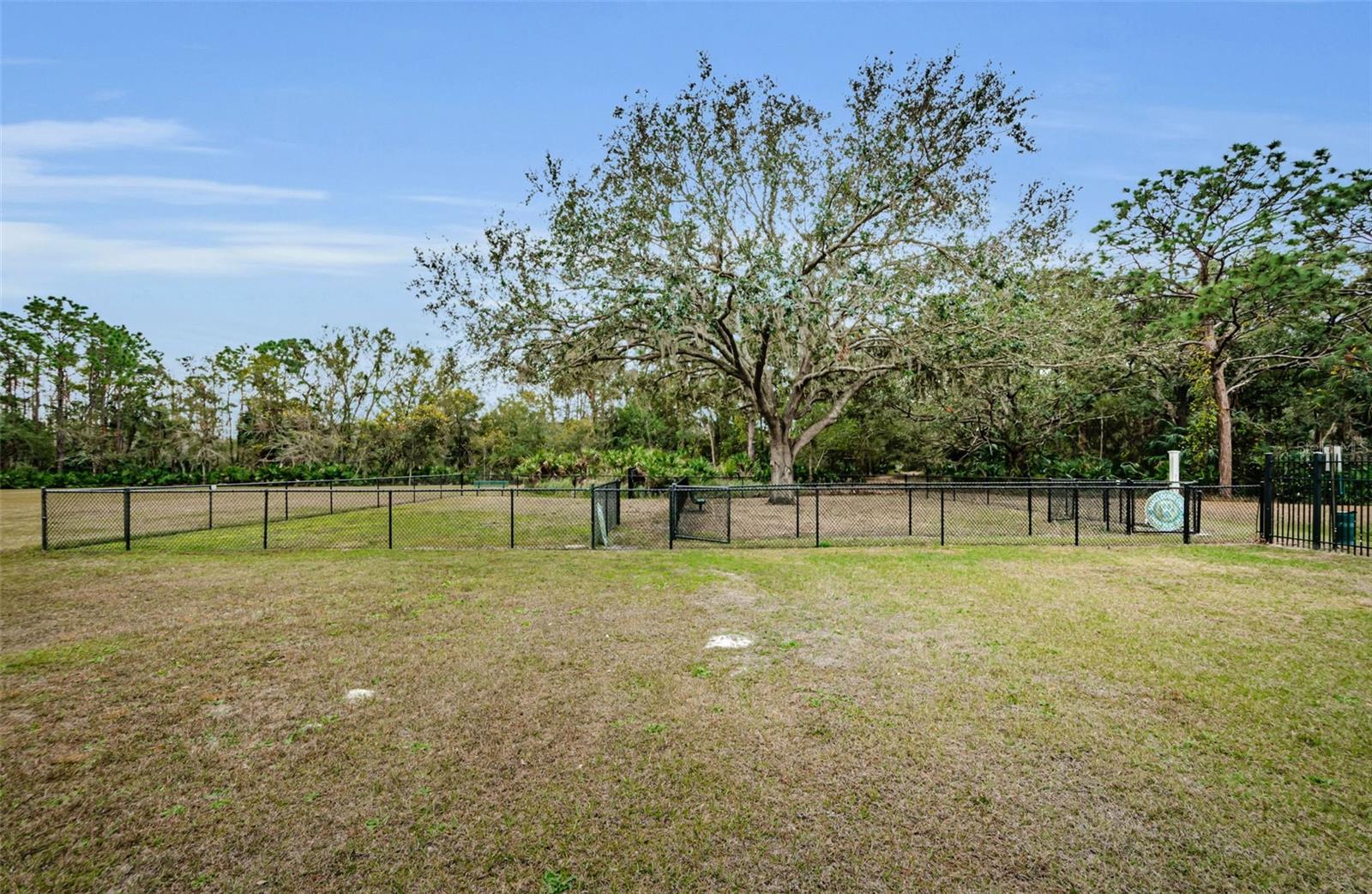 Listing photo id 70 for 8604 Herons Cove Place