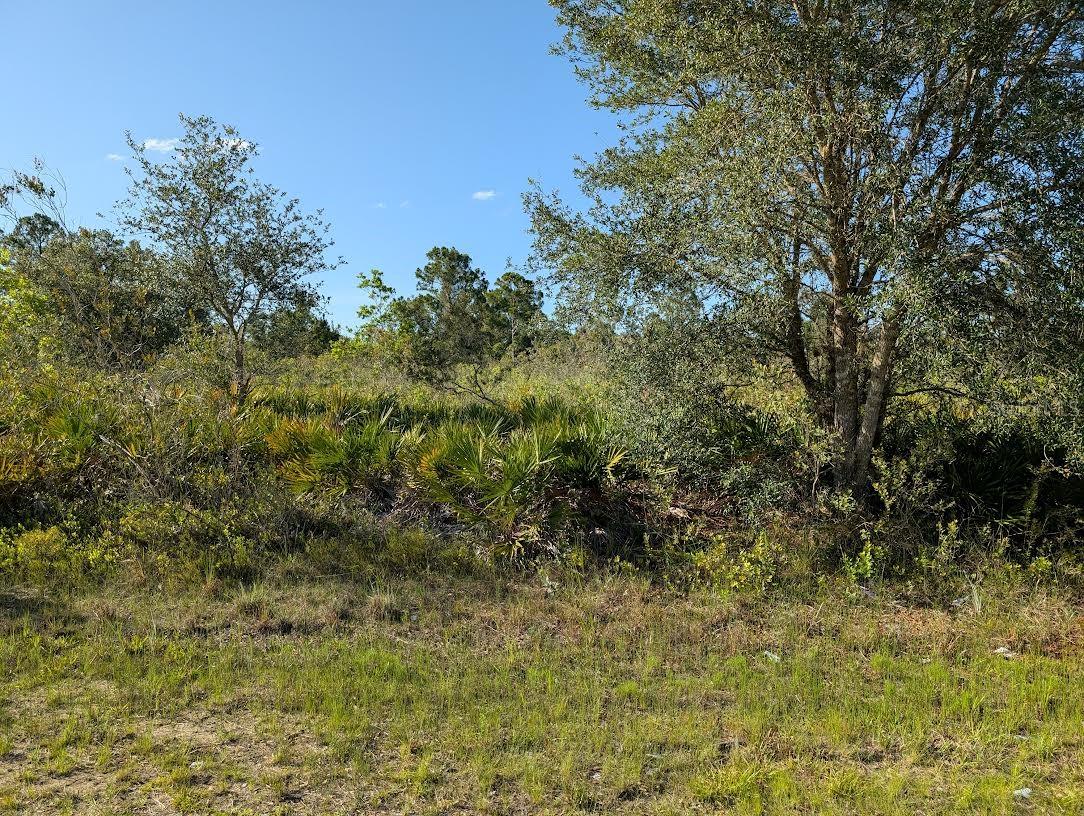 Details for 714 Magnolia Drive, INDIAN LAKE ESTATES, FL 33855