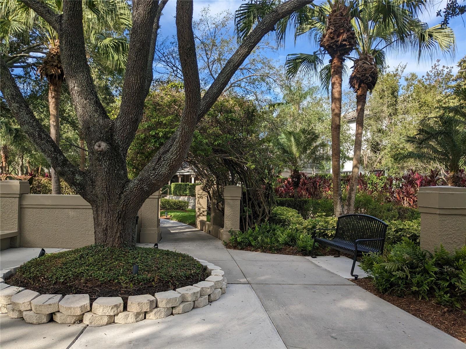 Image 36 of 40 For 1002 Harbour Island Boulevard 1105