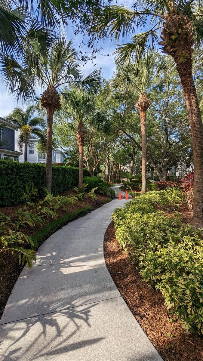 Image 37 of 40 For 1002 Harbour Island Boulevard 1105