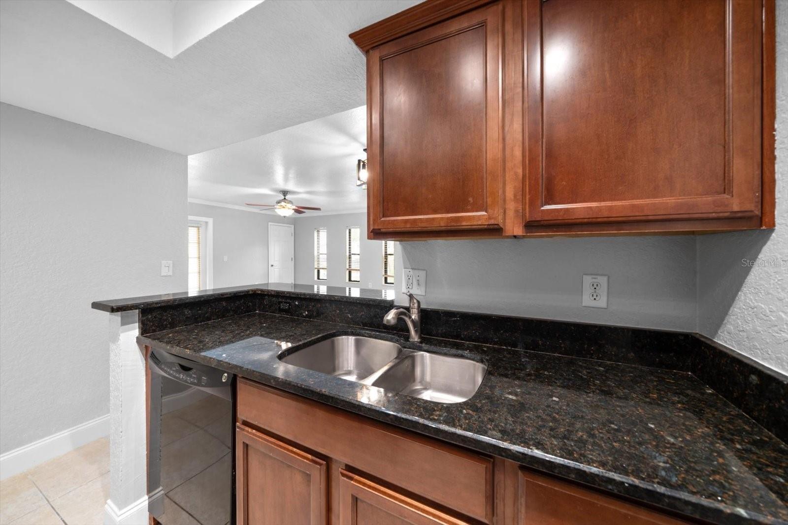 Image 11 of 39 For 720 Lyndhurst Street 1101
