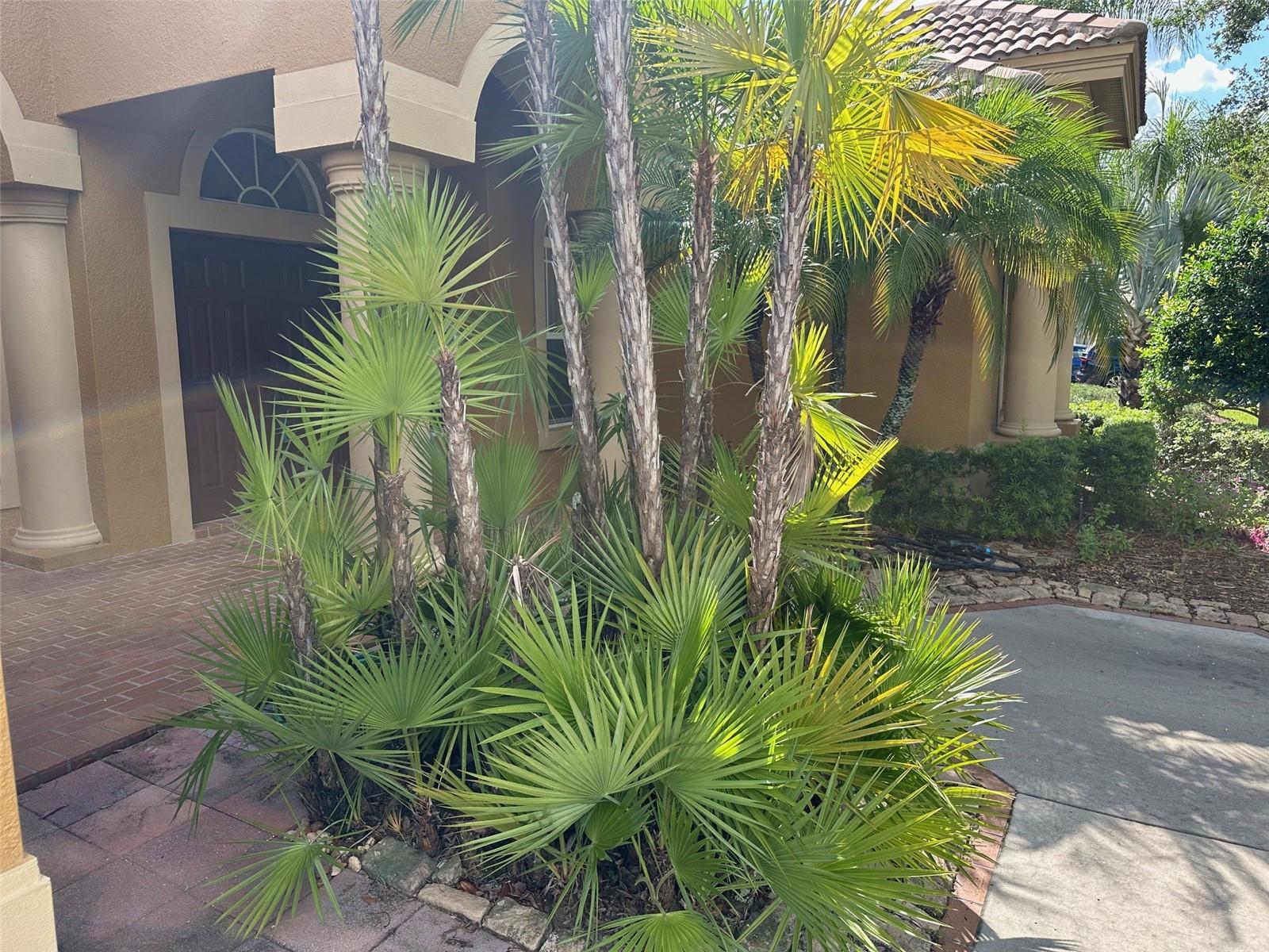 Listing photo id 1 for 1353 El Pardo Drive