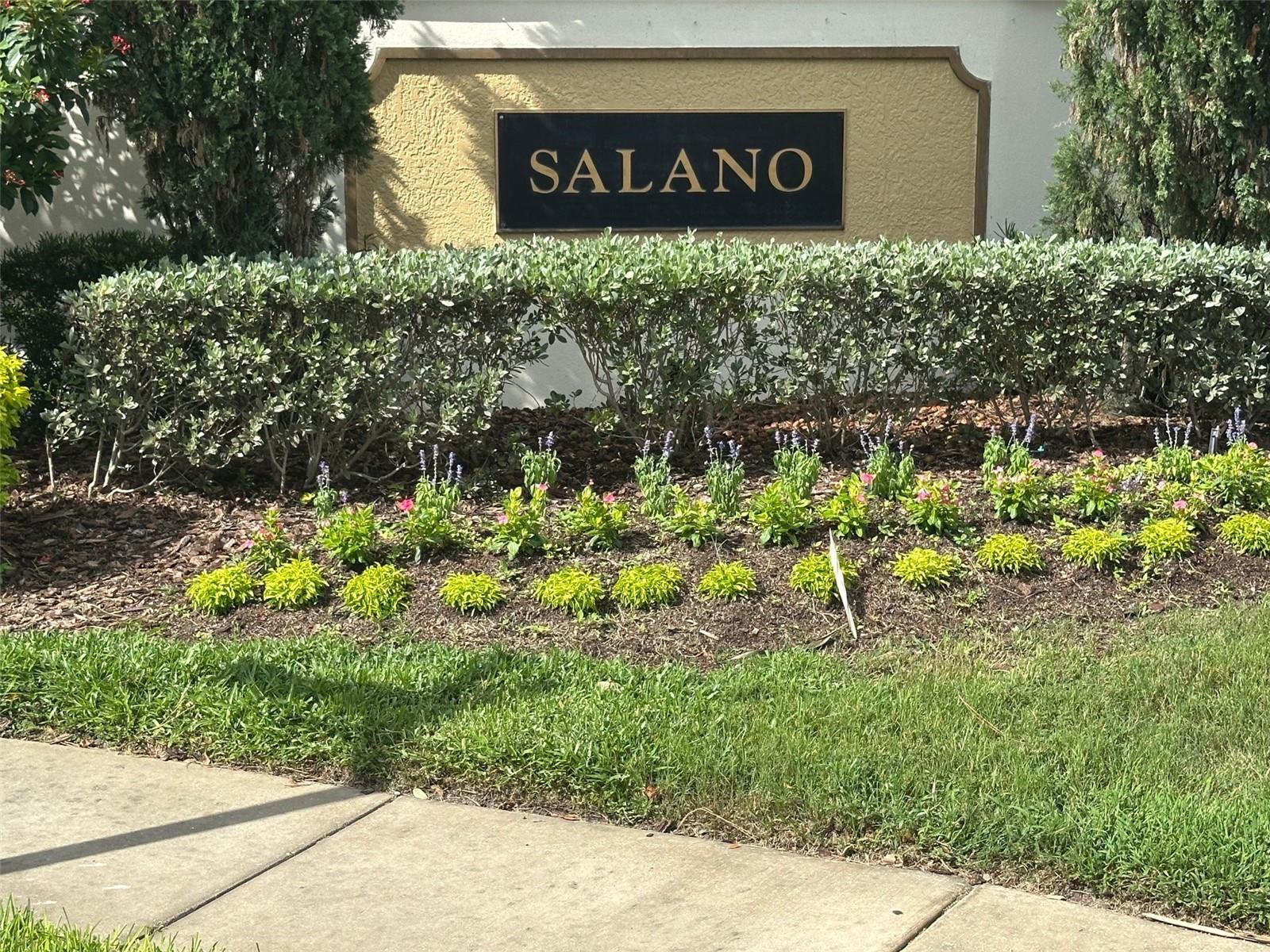 Listing photo id 28 for 1353 El Pardo Drive