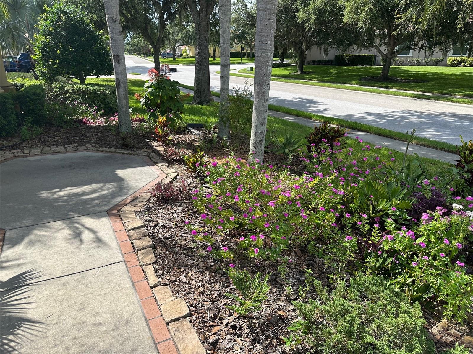 Listing photo id 2 for 1353 El Pardo Drive