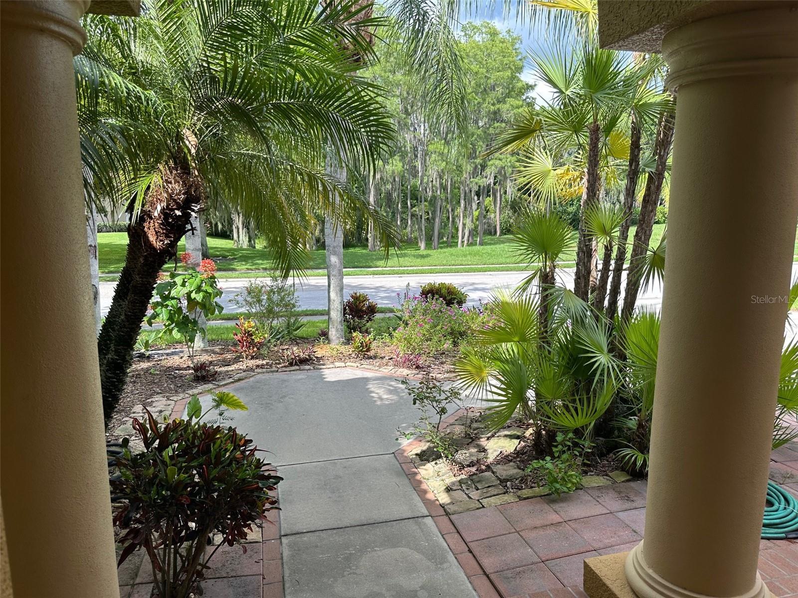 Listing photo id 3 for 1353 El Pardo Drive